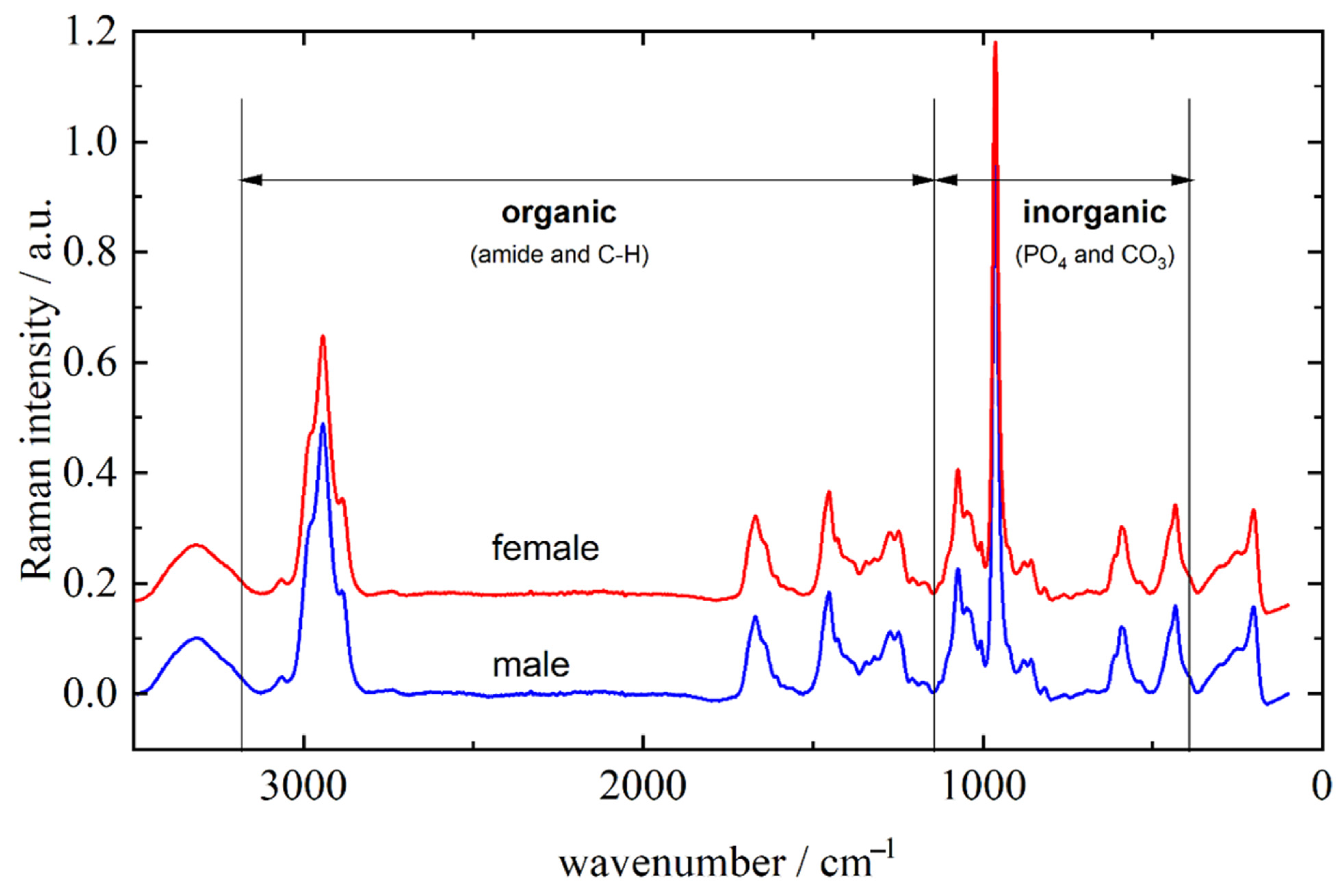 Molecules 26 03983 g001