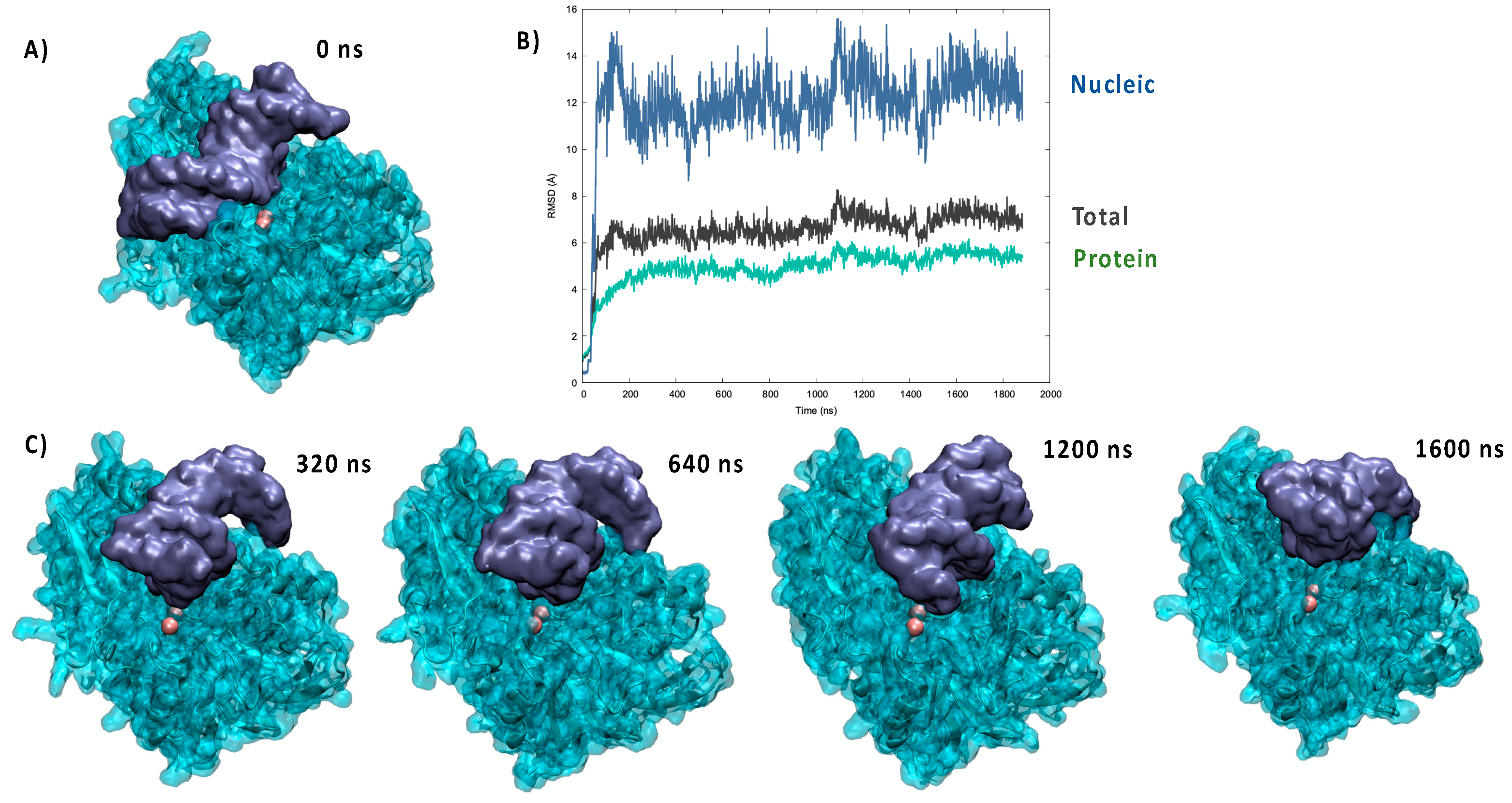 Molecules 26 03986 g001