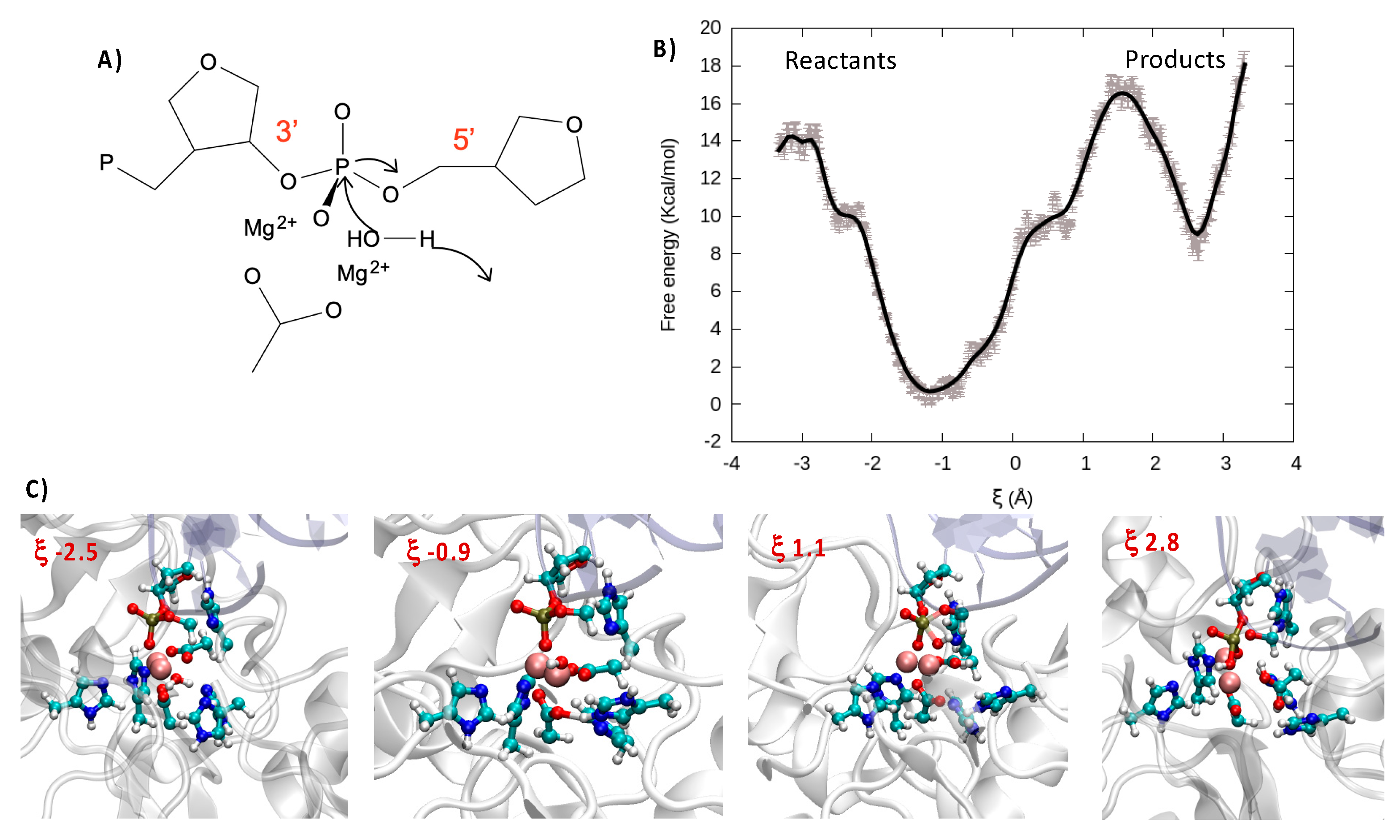 Molecules 26 03986 g004