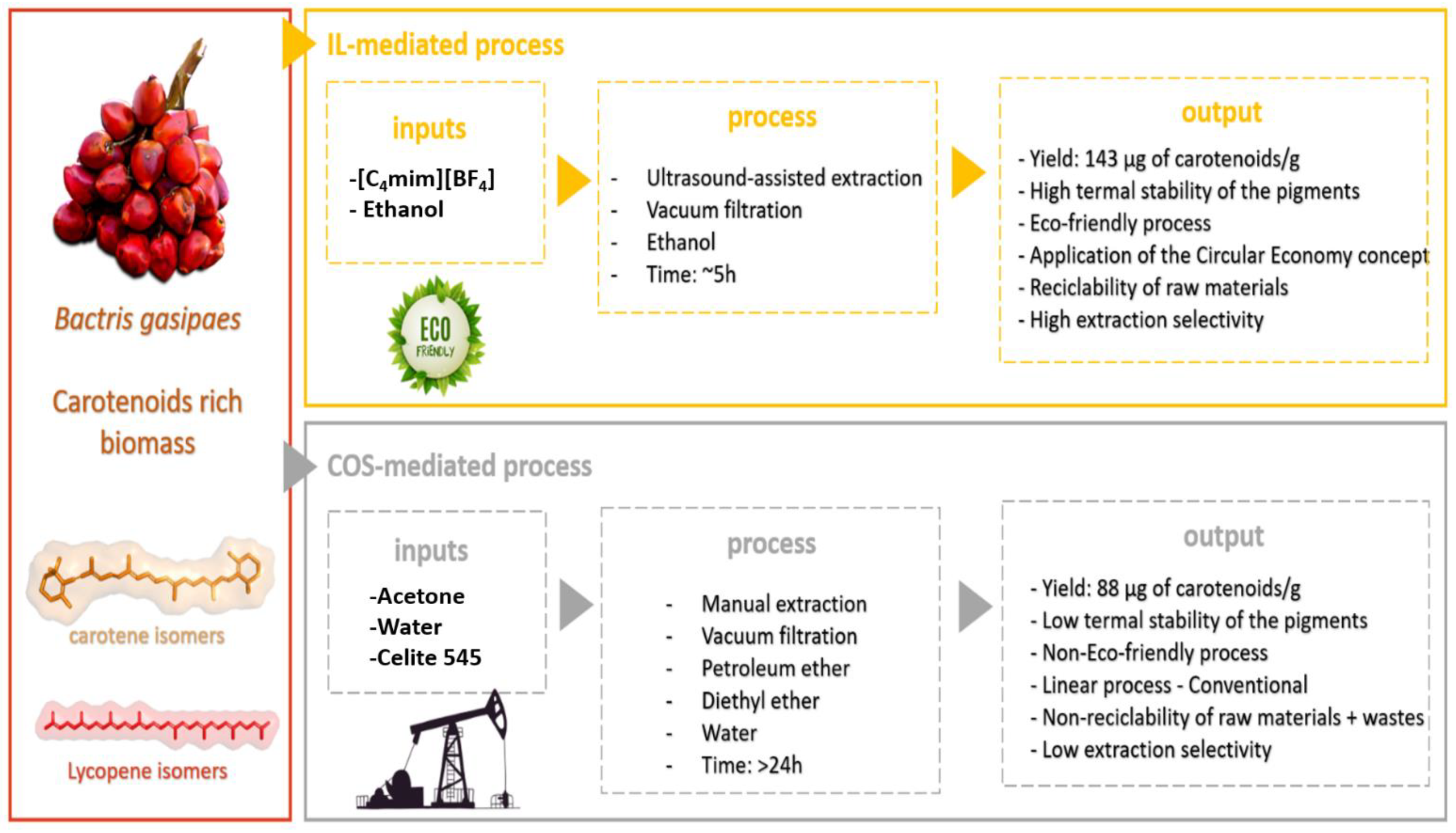 Molecules 26 03989 g001