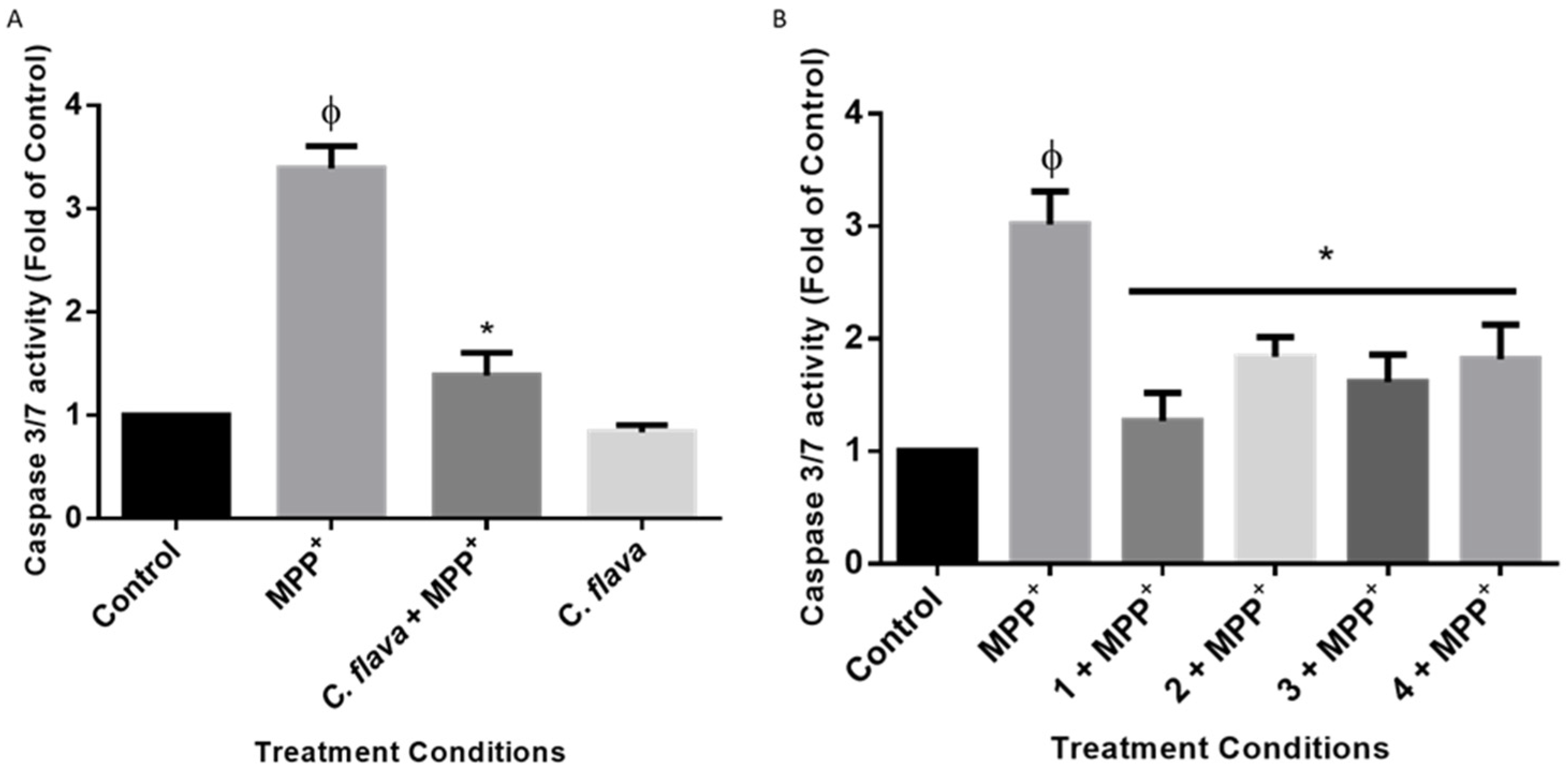 Molecules 26 03990 g007