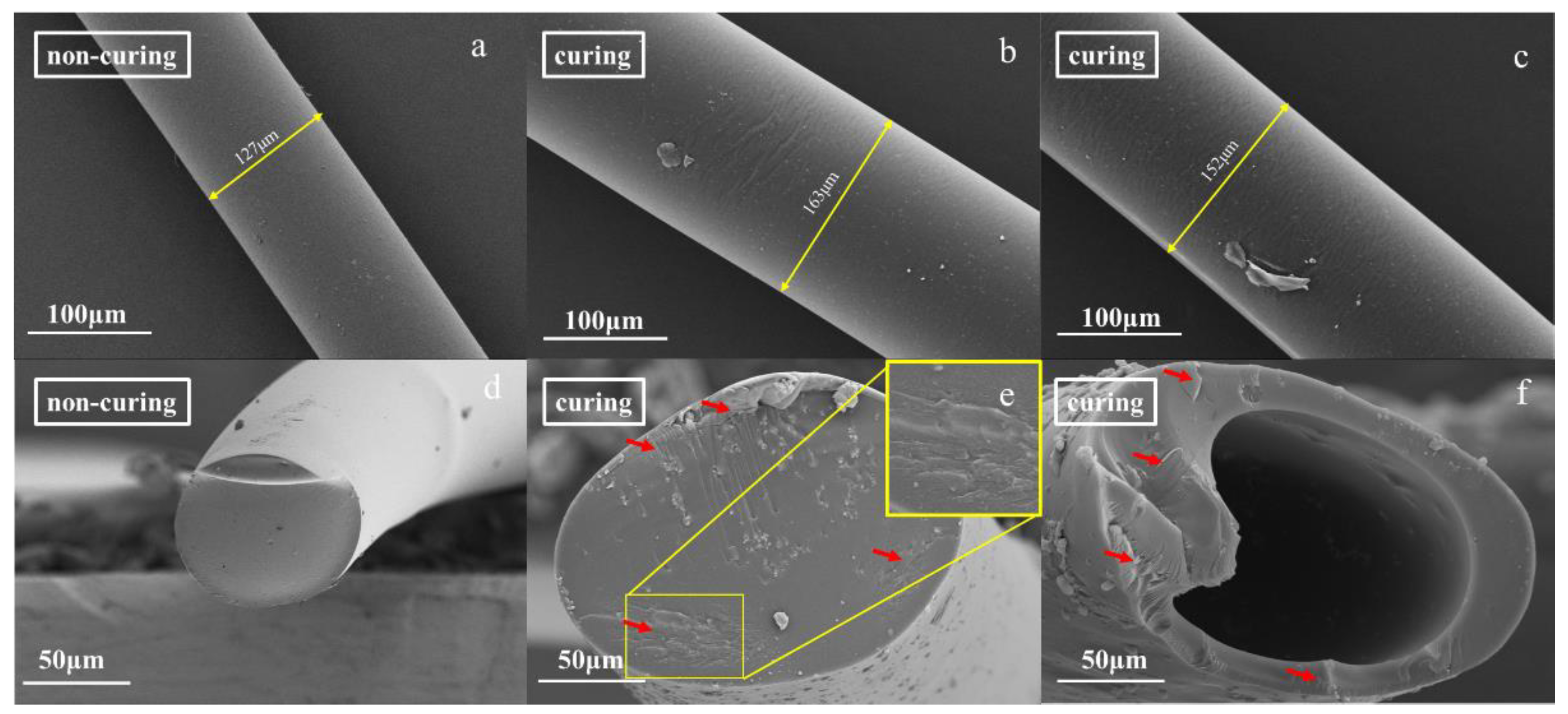 Molecules 26 03993 g007
