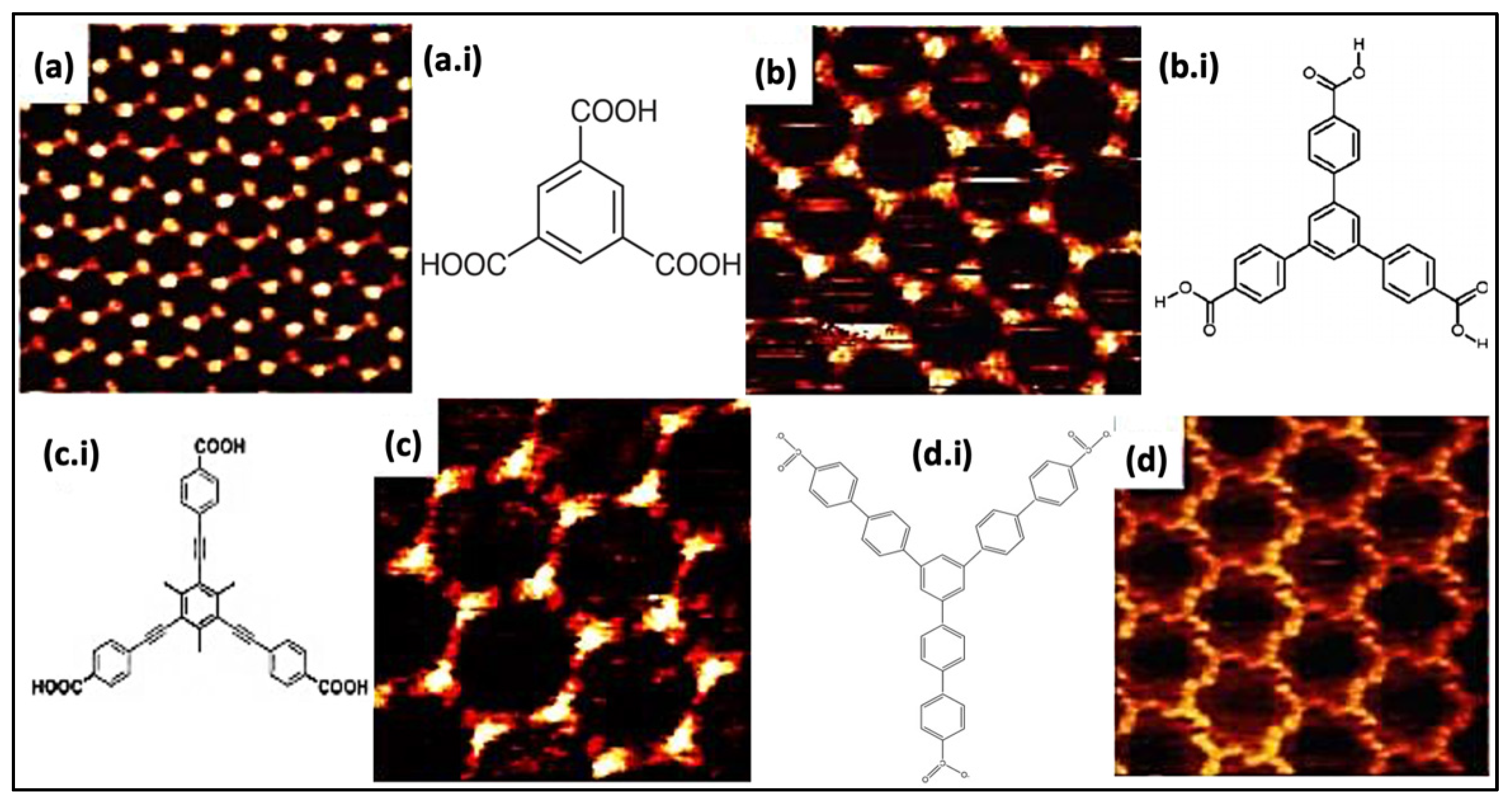 Molecules 26 03995 g002 Molecules 26 03995 g002