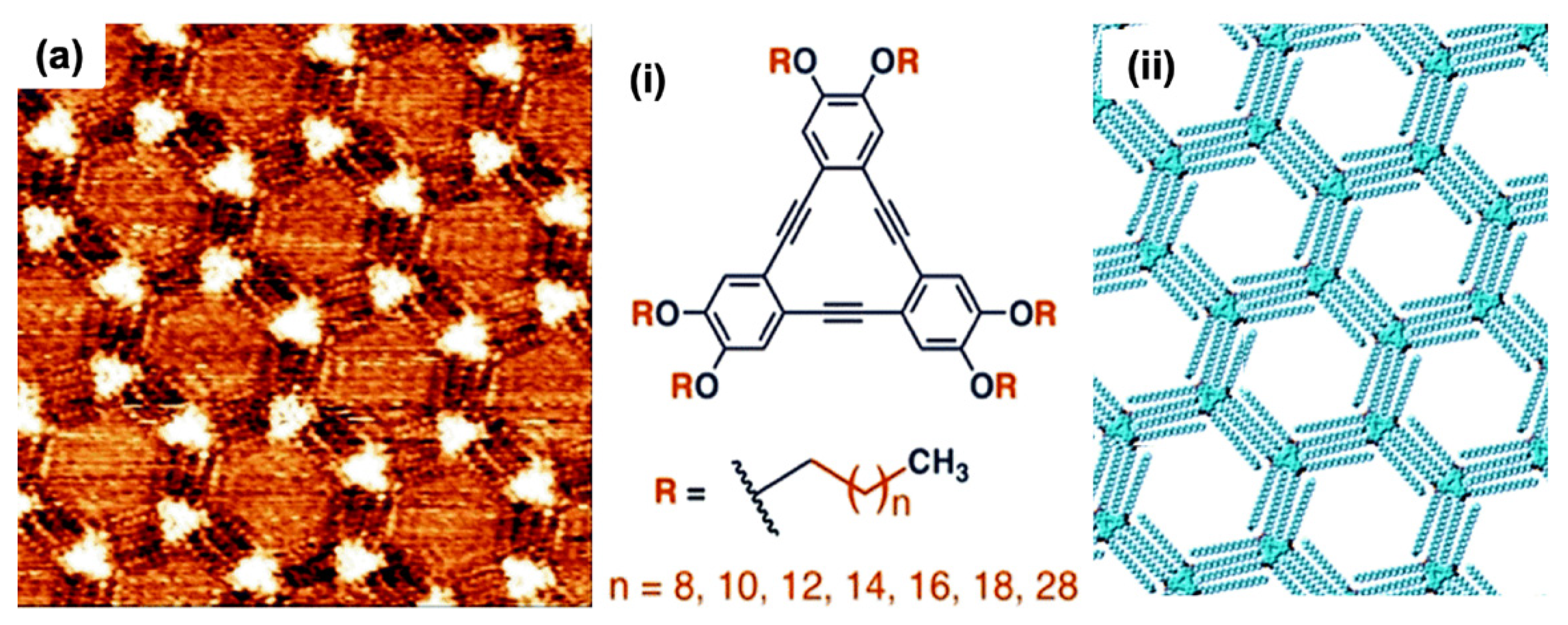 Molecules 26 03995 g003 Molecules 26 03995 g003