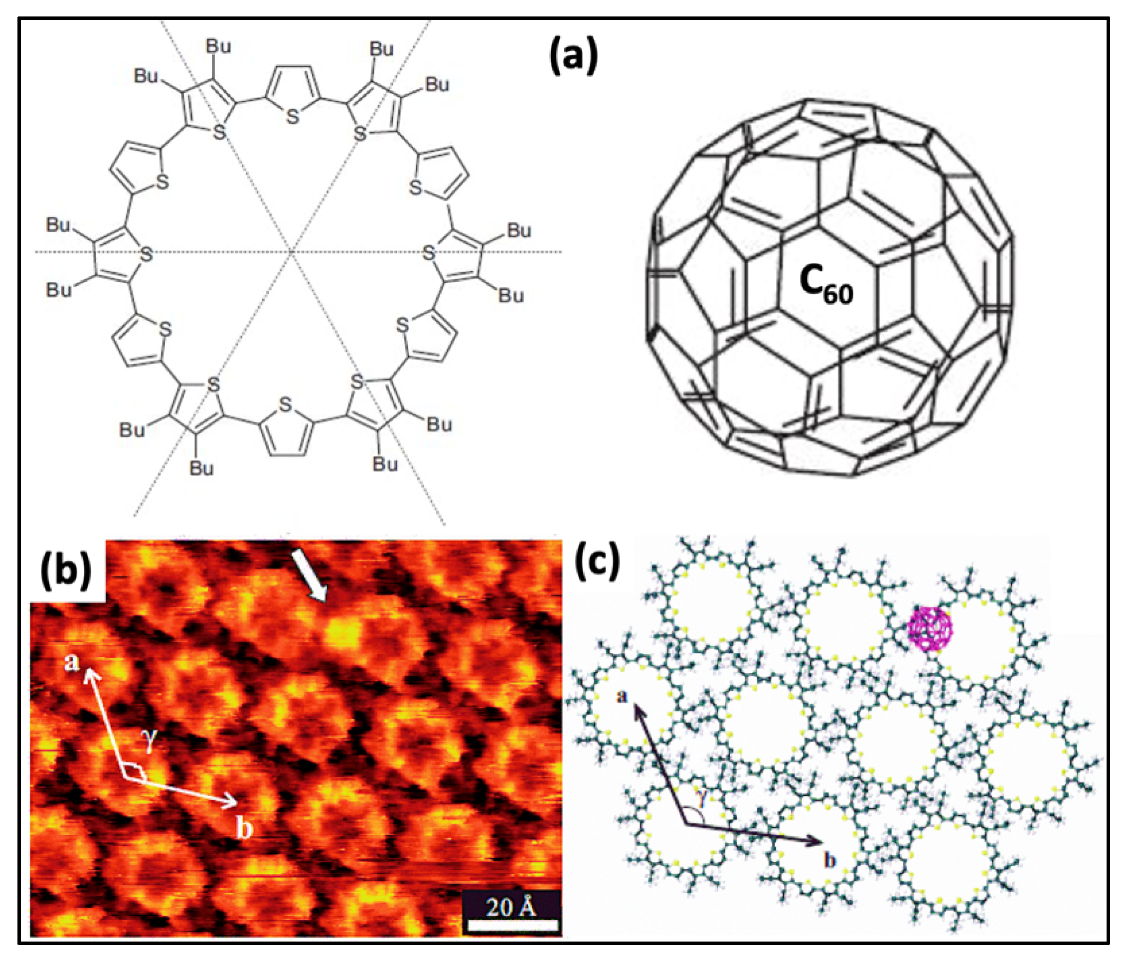 Molecules 26 03995 g004 Molecules 26 03995 g004