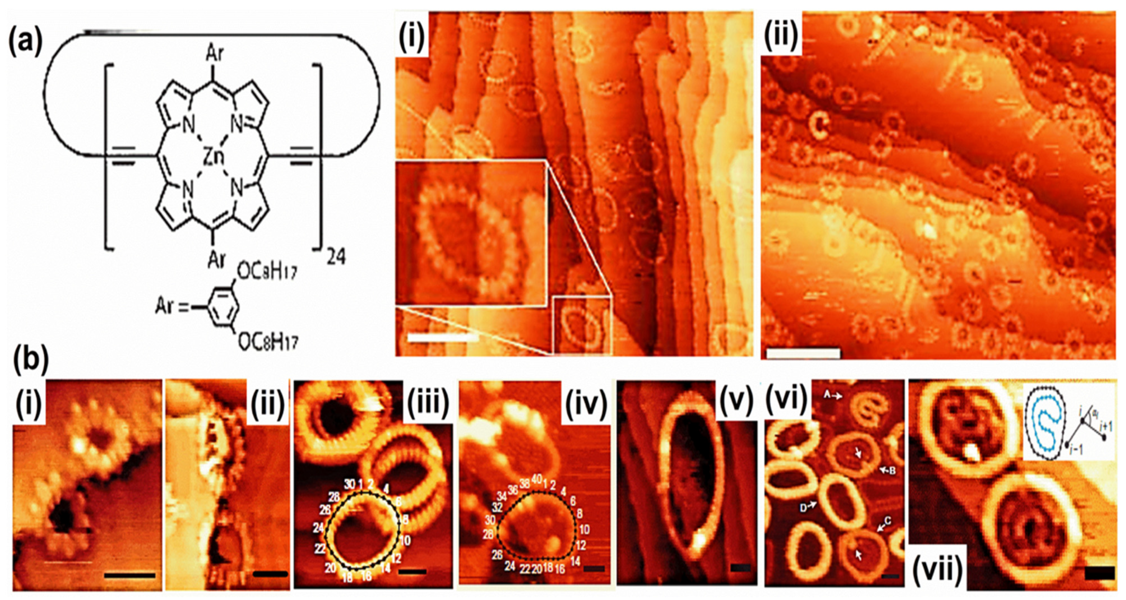 Molecules 26 03995 g005 Molecules 26 03995 g005