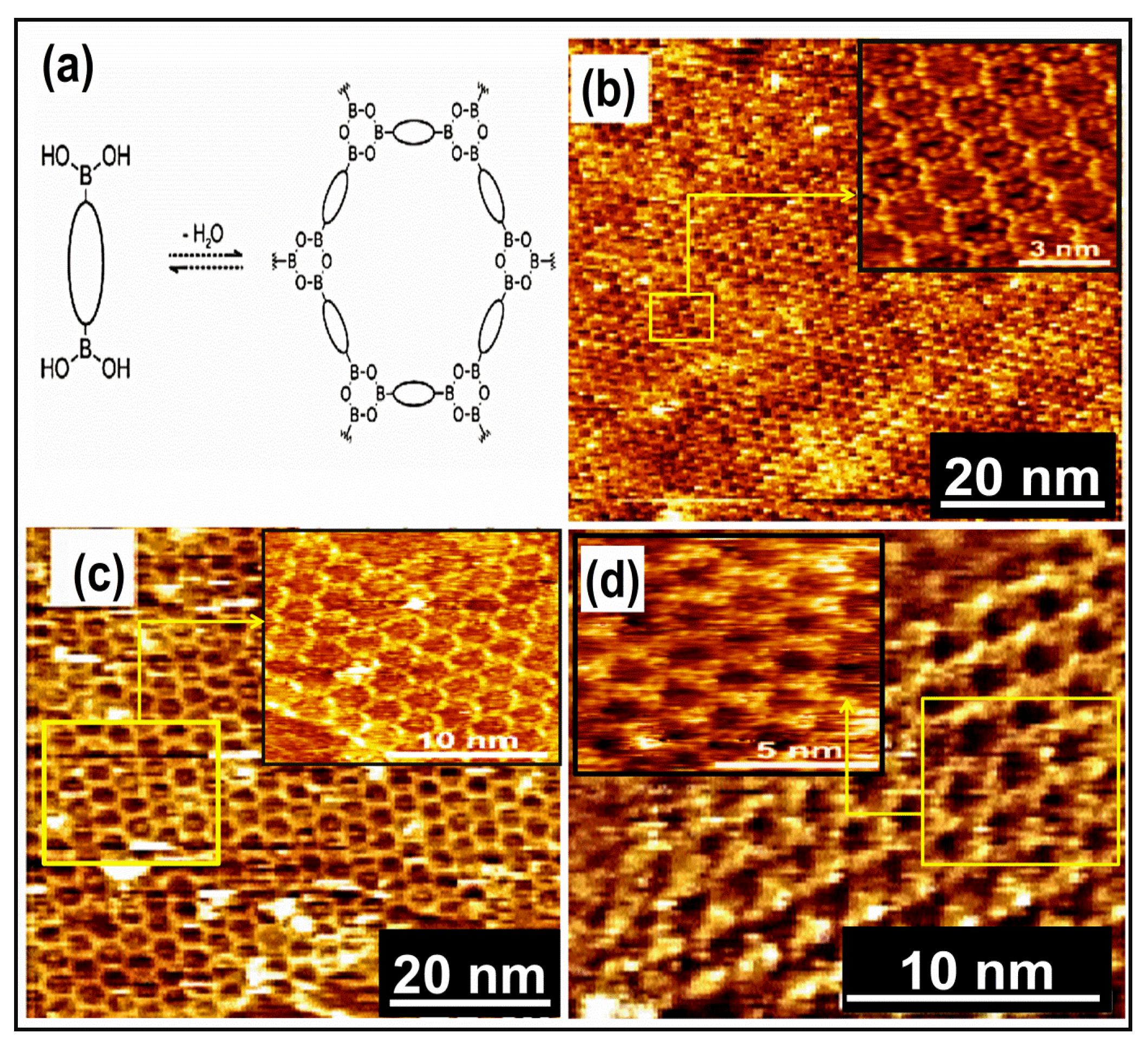 Molecules 26 03995 g006 Molecules 26 03995 g006
