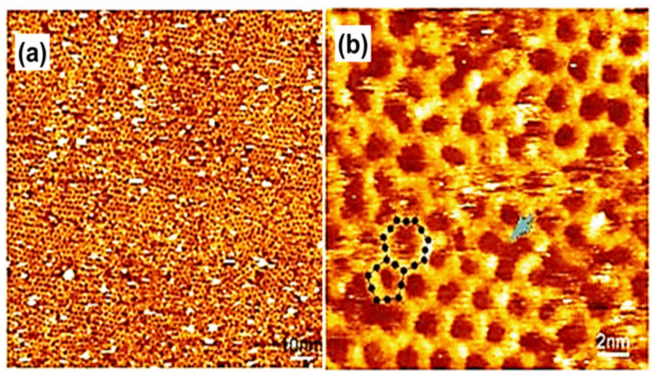 Molecules 26 03995 g007 Molecules 26 03995 g007