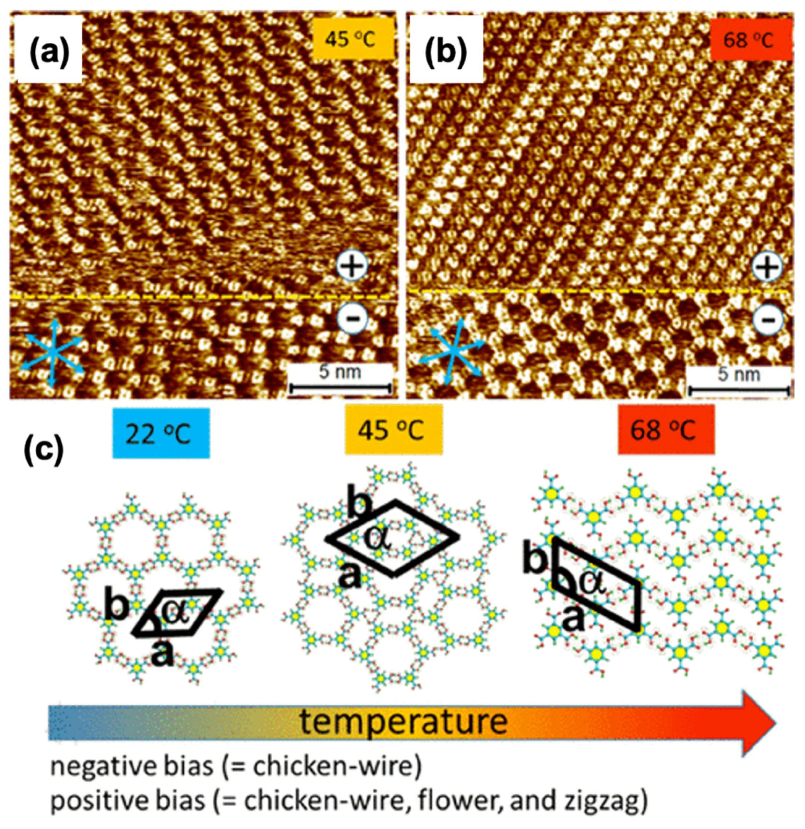 Molecules 26 03995 g009 Molecules 26 03995 g009