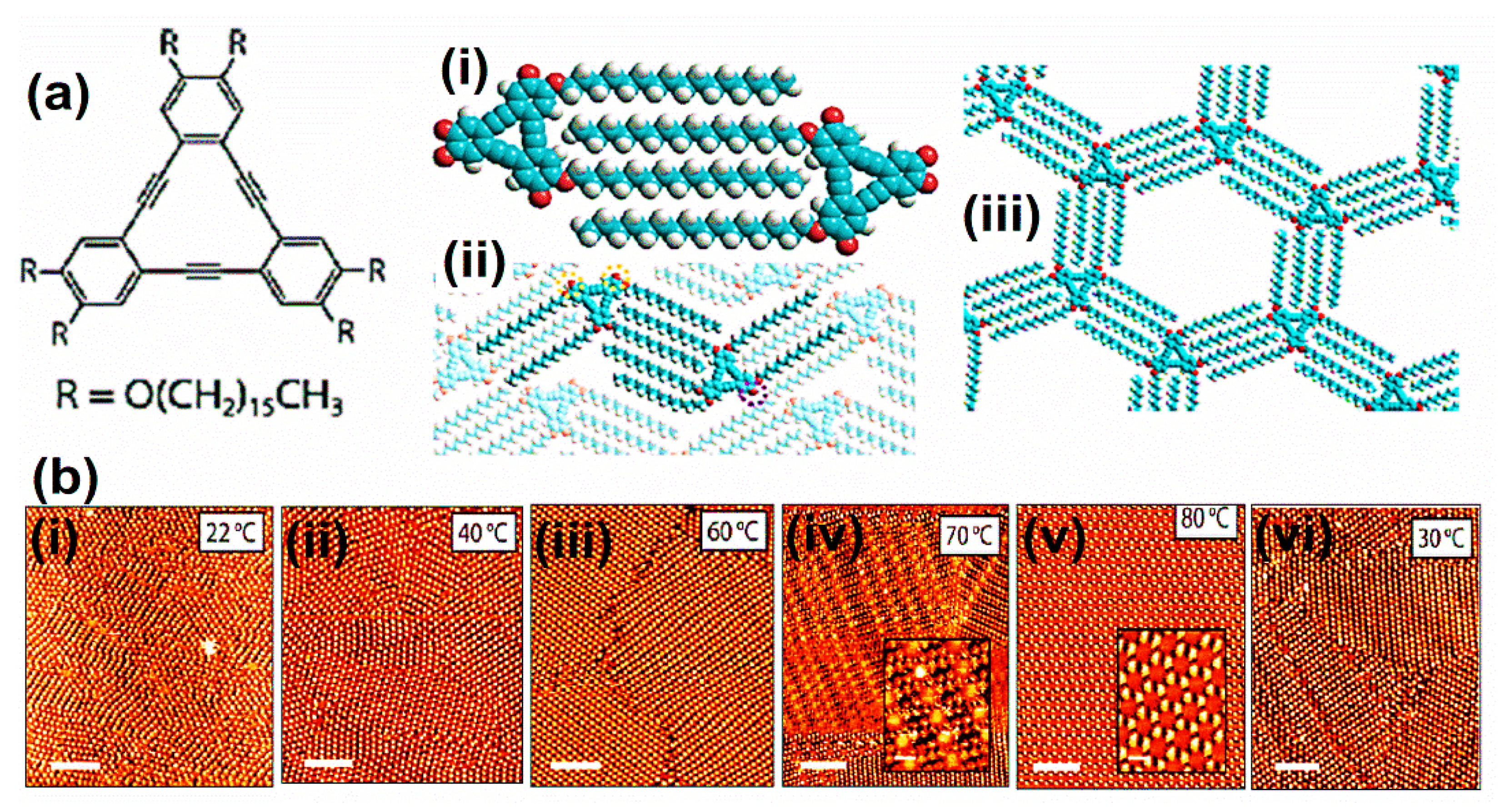 Molecules 26 03995 g010 Molecules 26 03995 g010