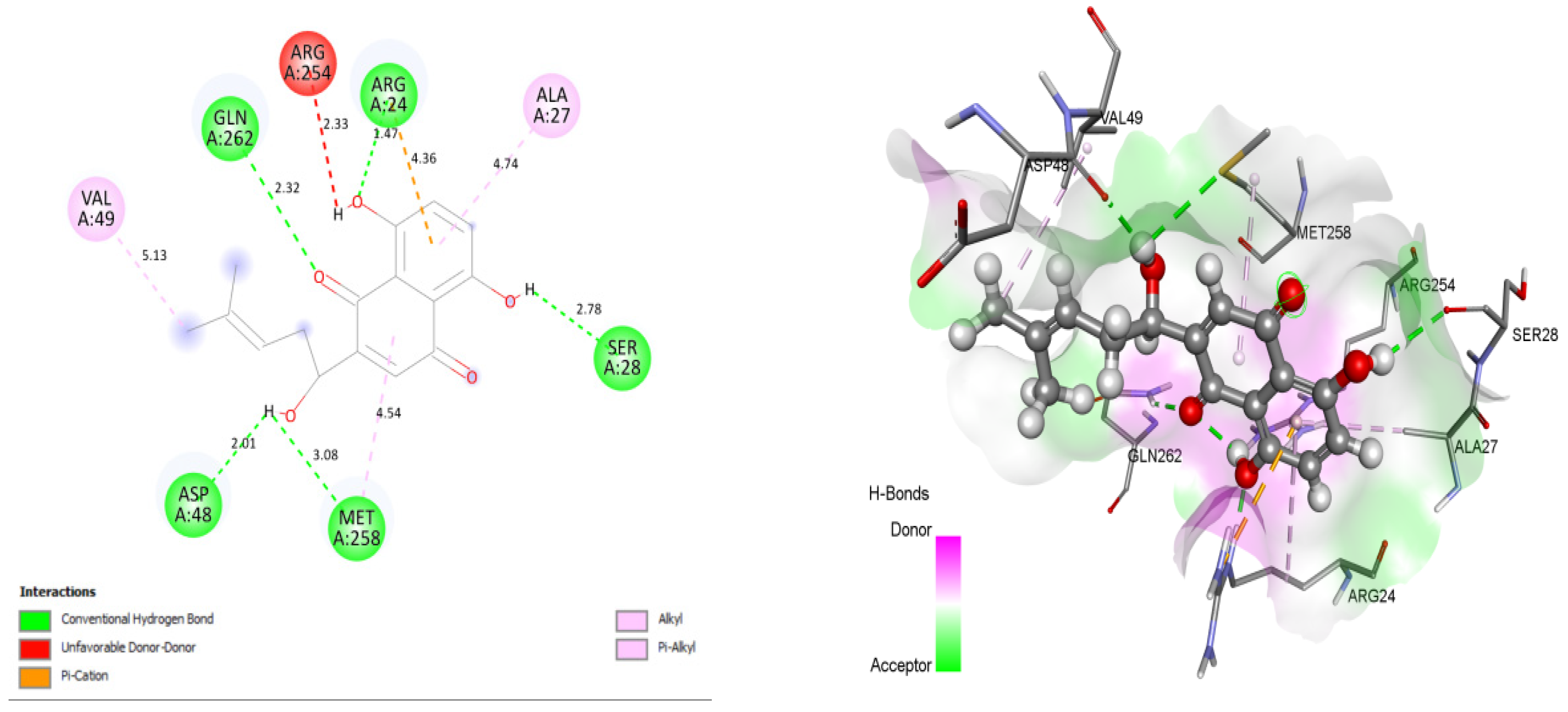 Molecules 26 03996 g002 Molecules 26 03996 g002