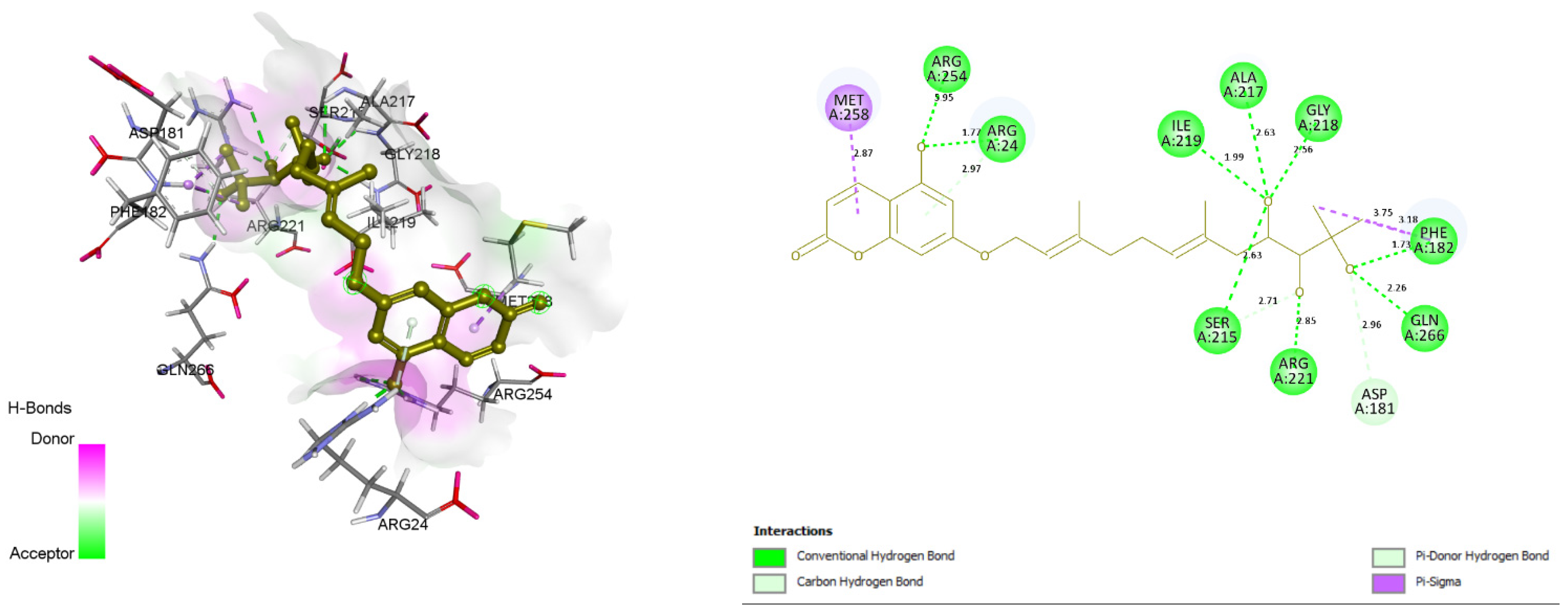 Molecules 26 03996 g007 Molecules 26 03996 g007
