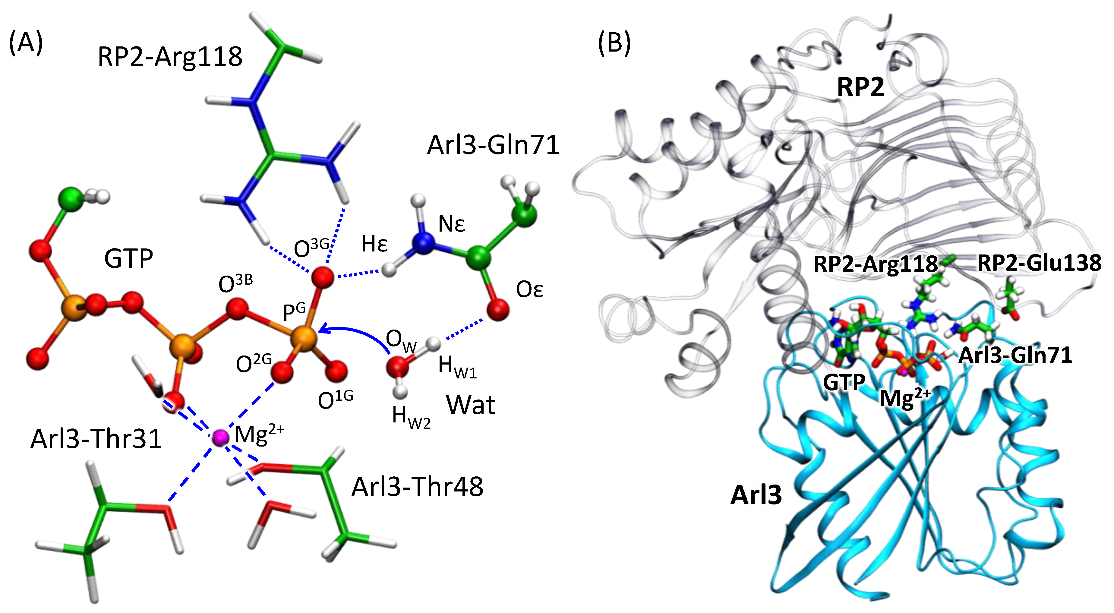 Molecules 26 03998 g002