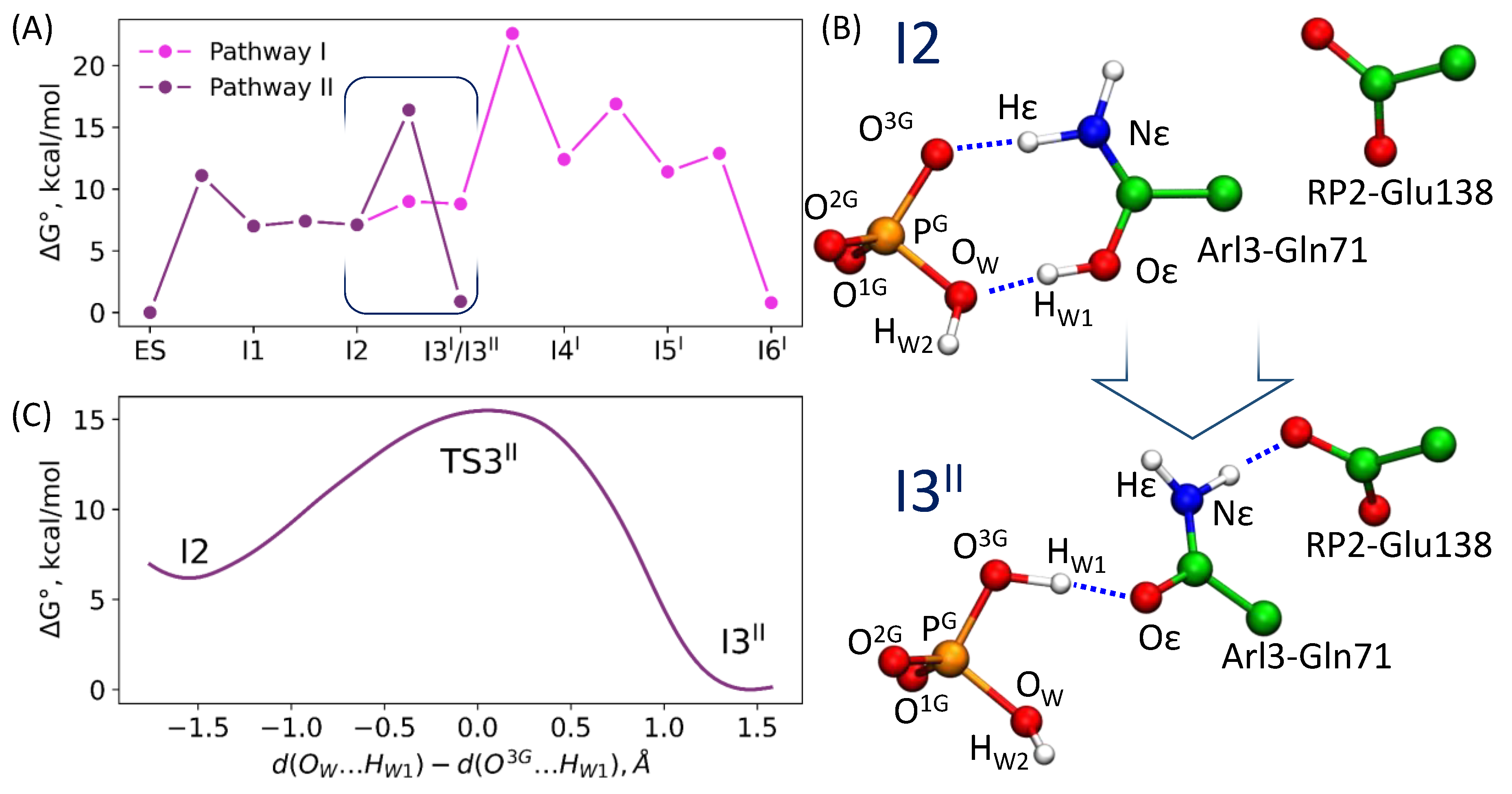 Molecules 26 03998 g007