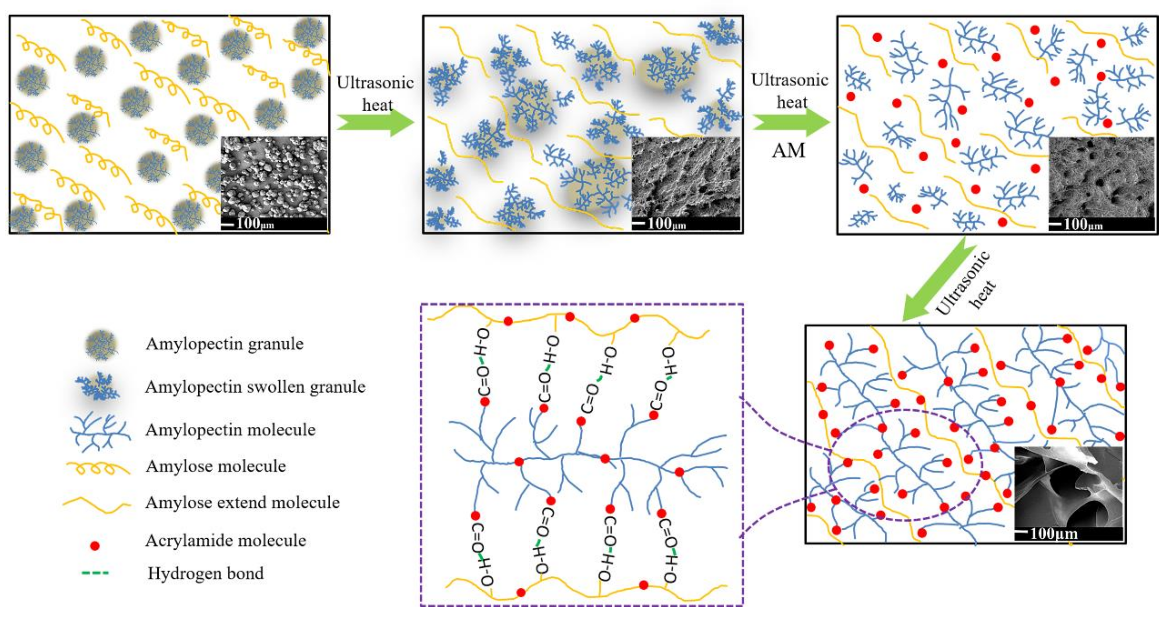Molecules 26 03999 g001