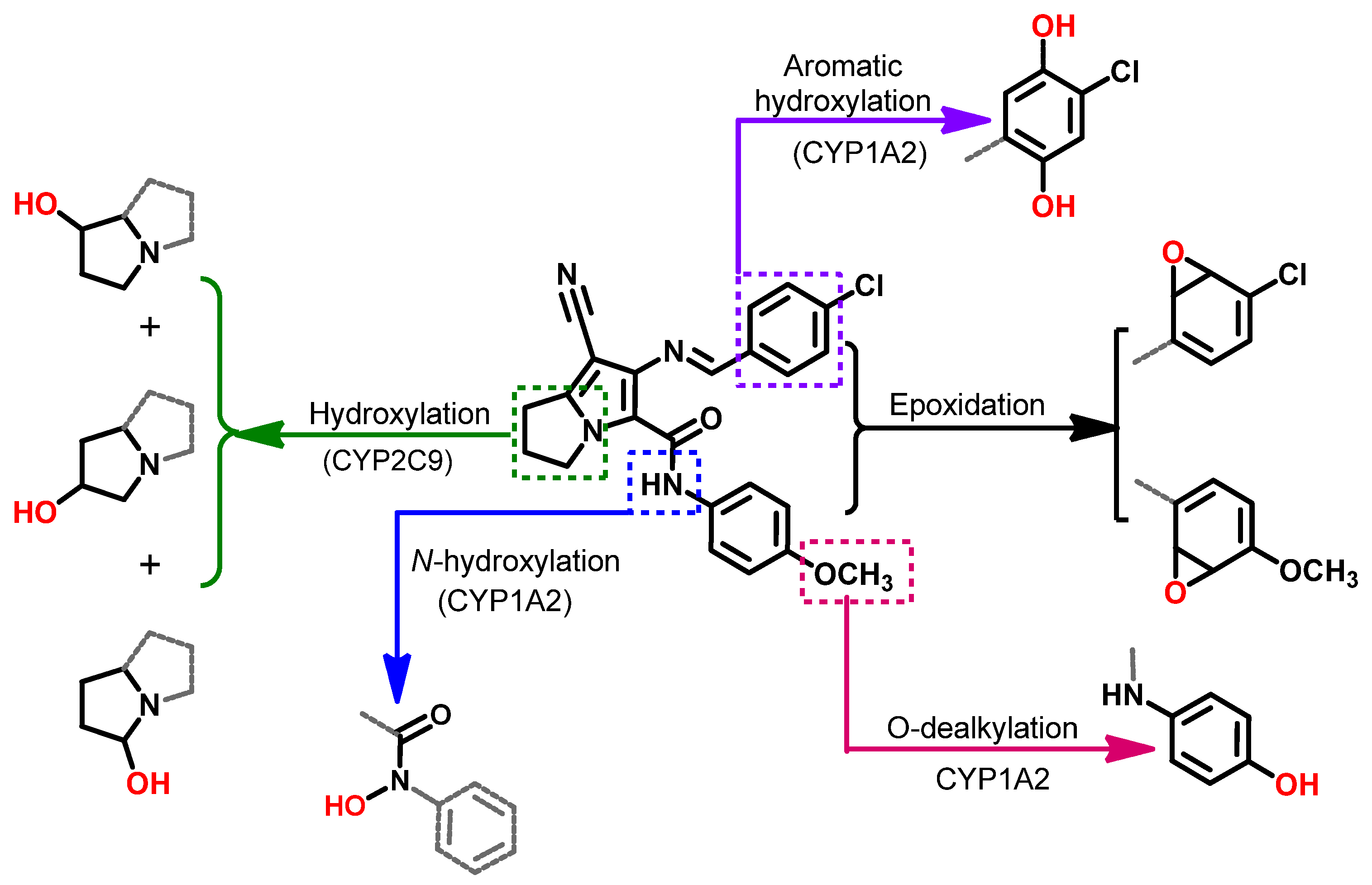 Molecules 26 04002 g023 Molecules 26 04002 g023