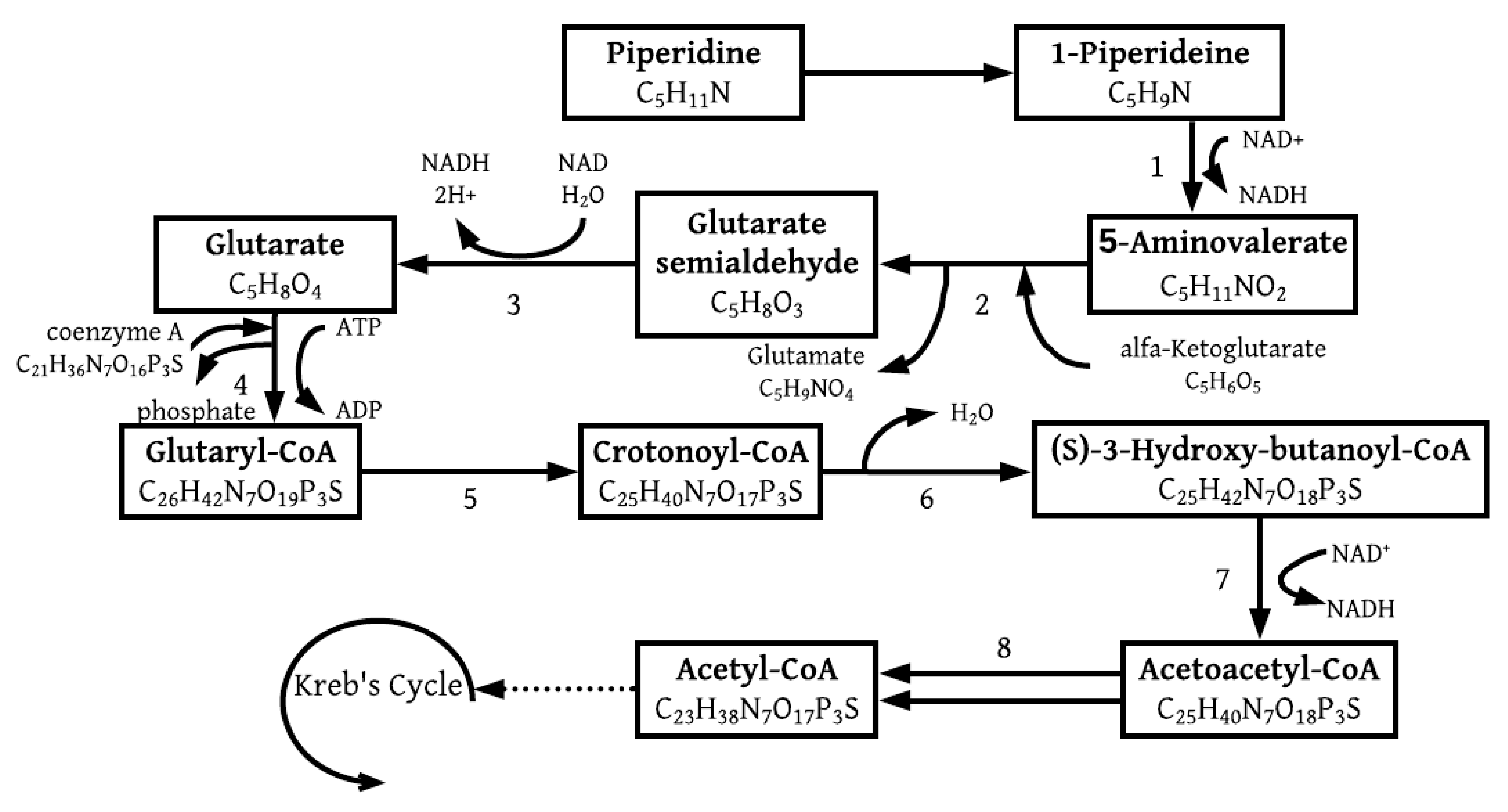 Molecules 26 04008 g005