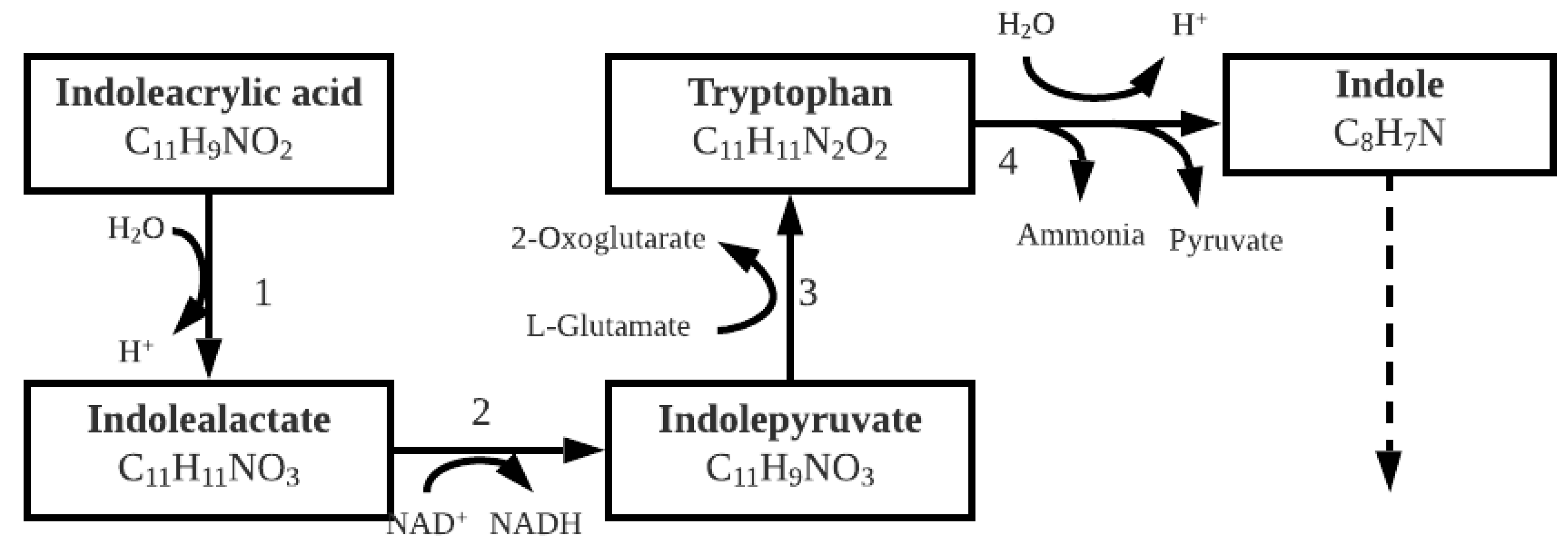 Molecules 26 04008 g007