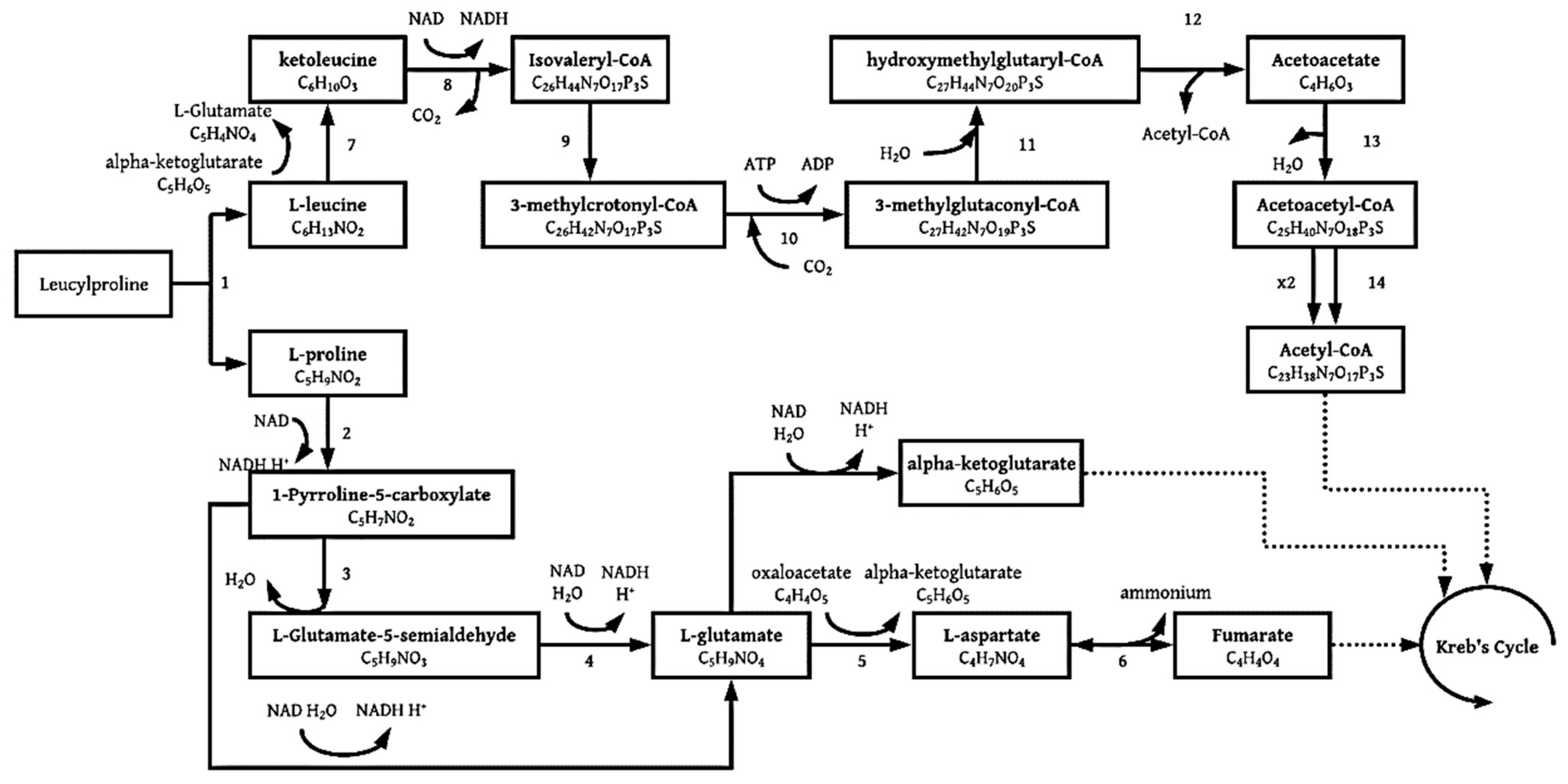 Molecules 26 04008 g008