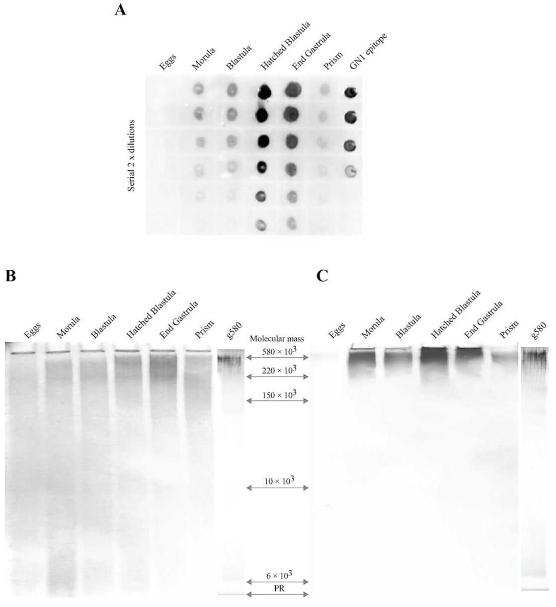 Molecules 26 04012 g001 Molecules 26 04012 g001