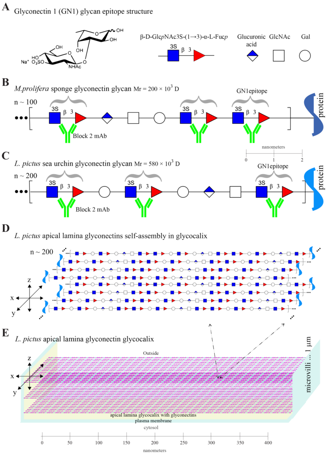 Molecules 26 04012 g002 Molecules 26 04012 g002