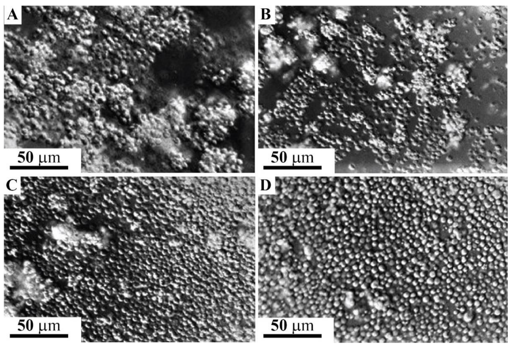 Molecules 26 04012 g005 Molecules 26 04012 g005