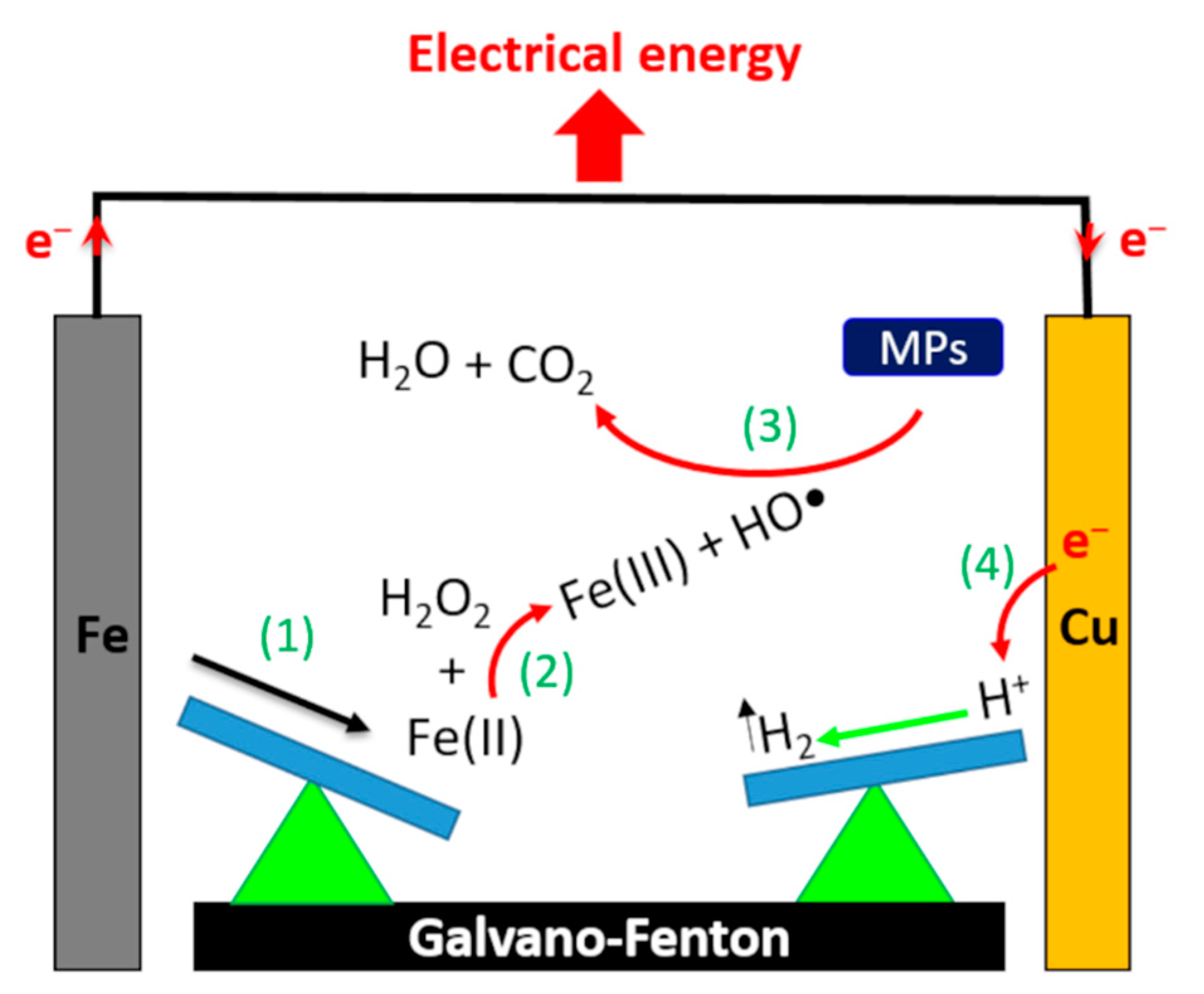 Molecules 26 04013 g001