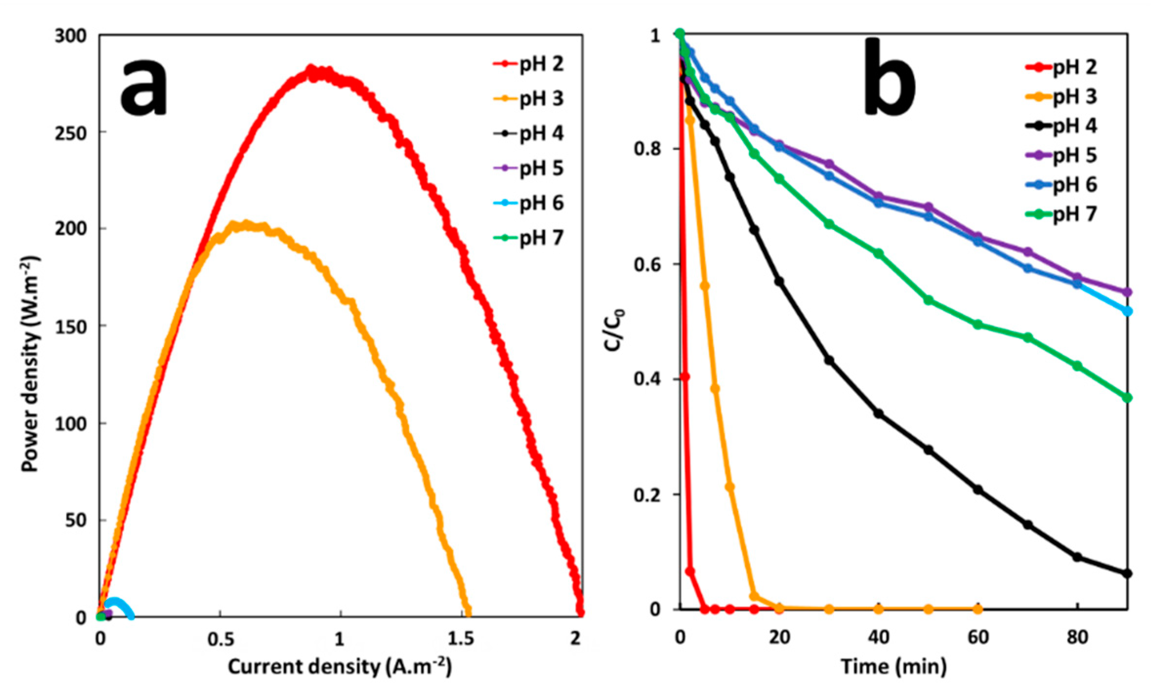 Molecules 26 04013 g007