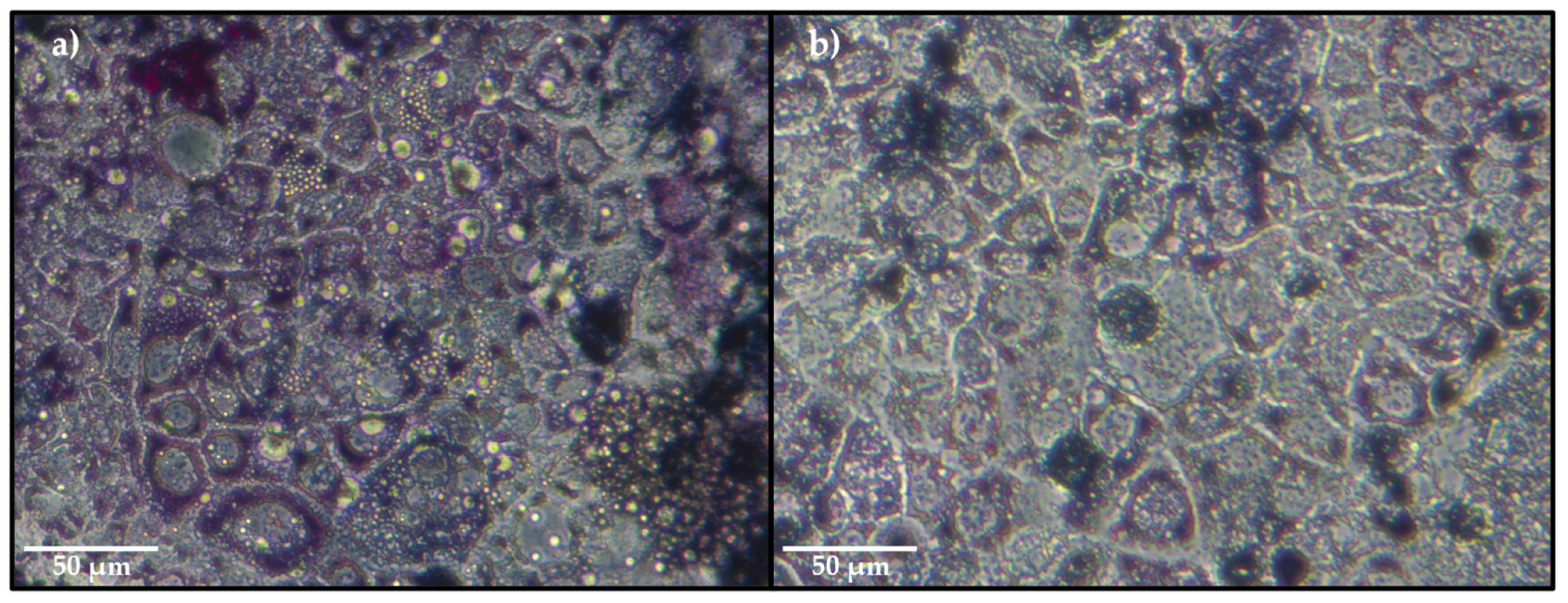 Molecules 26 04020 g006