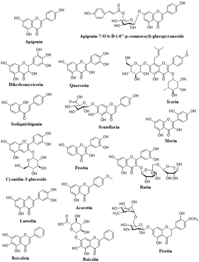 Molecules 26 04021 g002