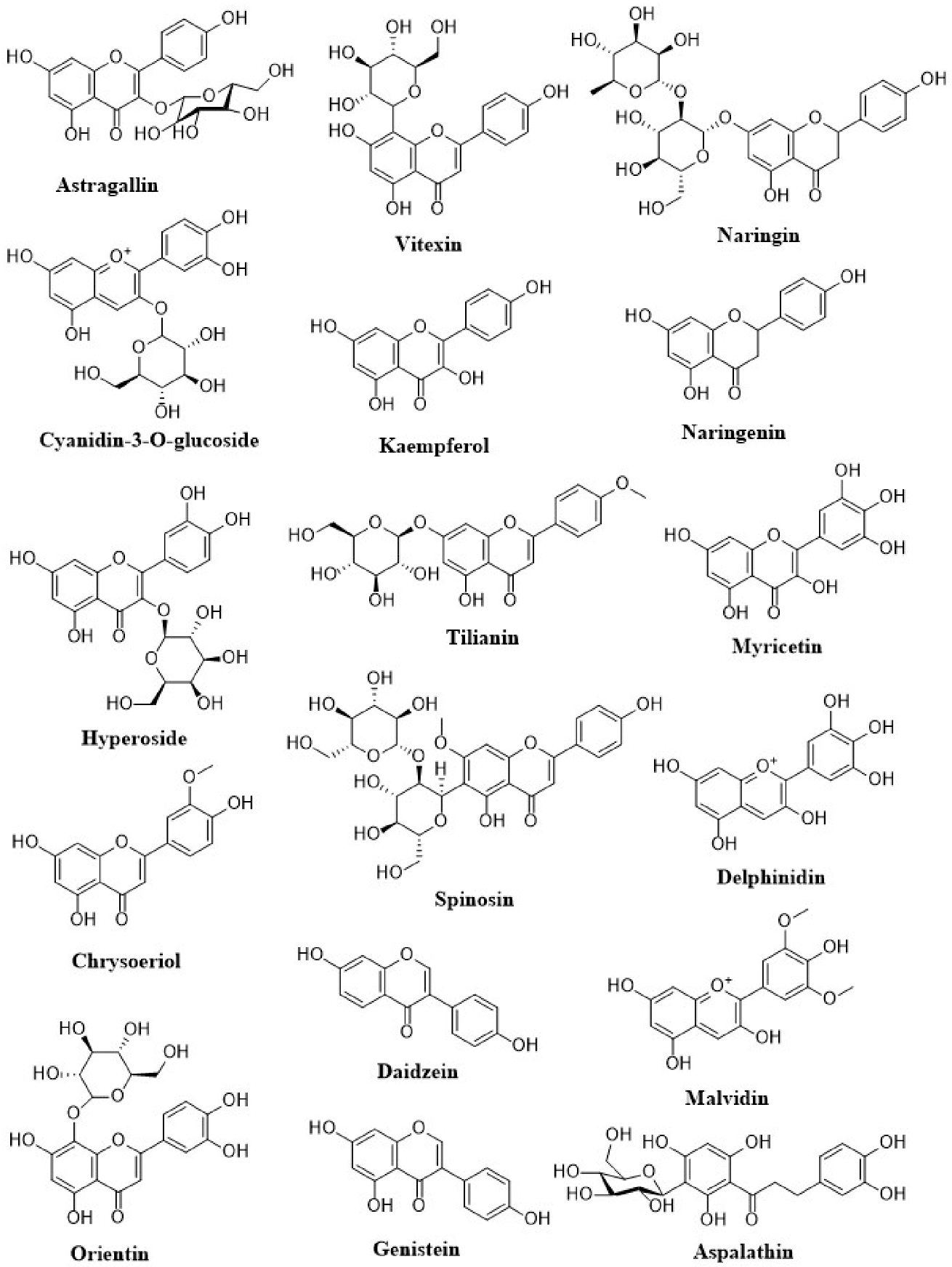 Molecules 26 04021 g003