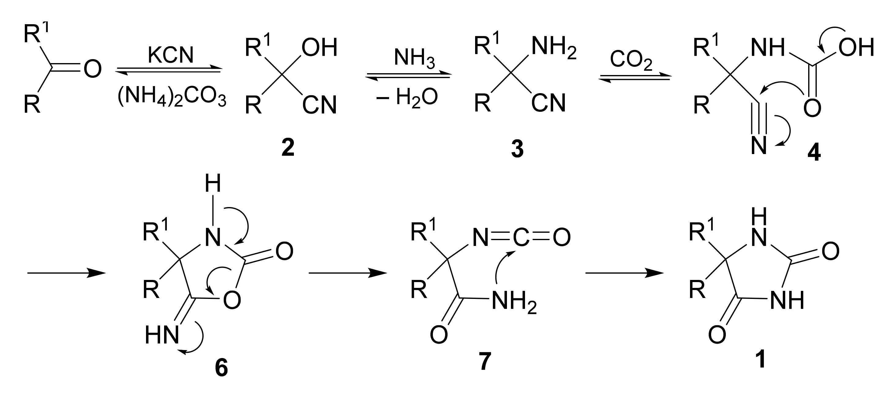 Molecules 26 04024 sch002