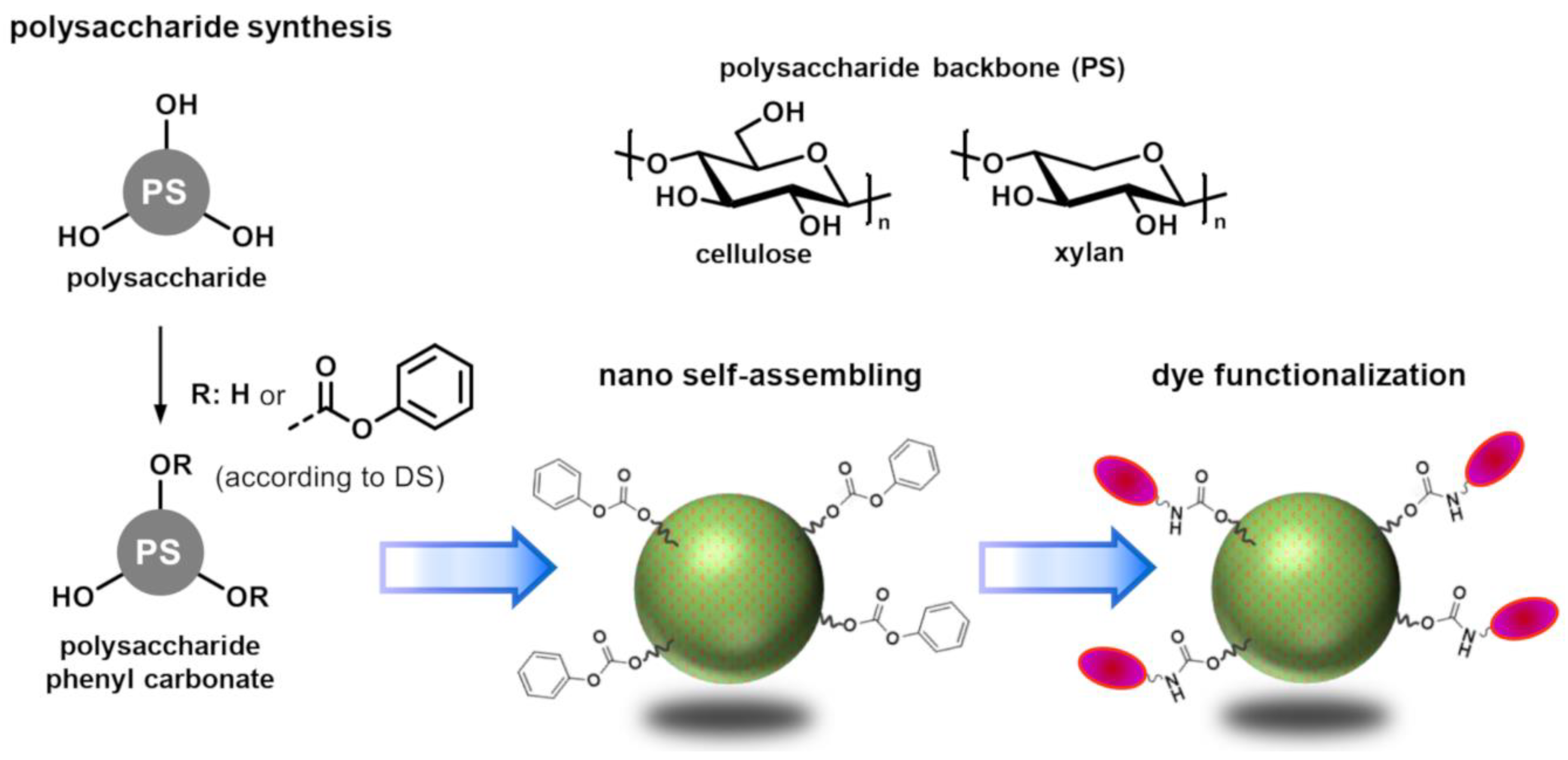 Molecules 26 04026 g001