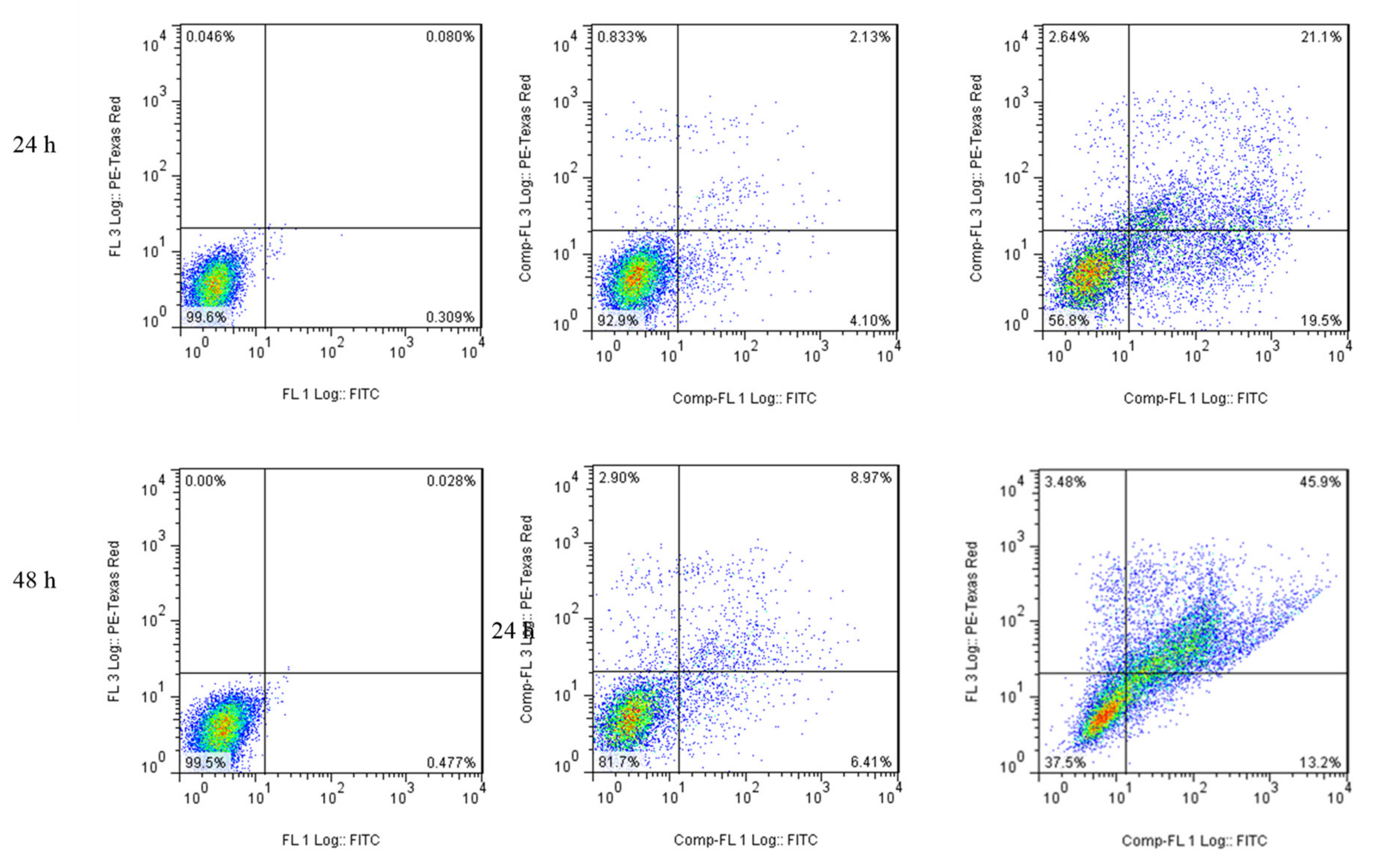 Molecules 26 04028 g013