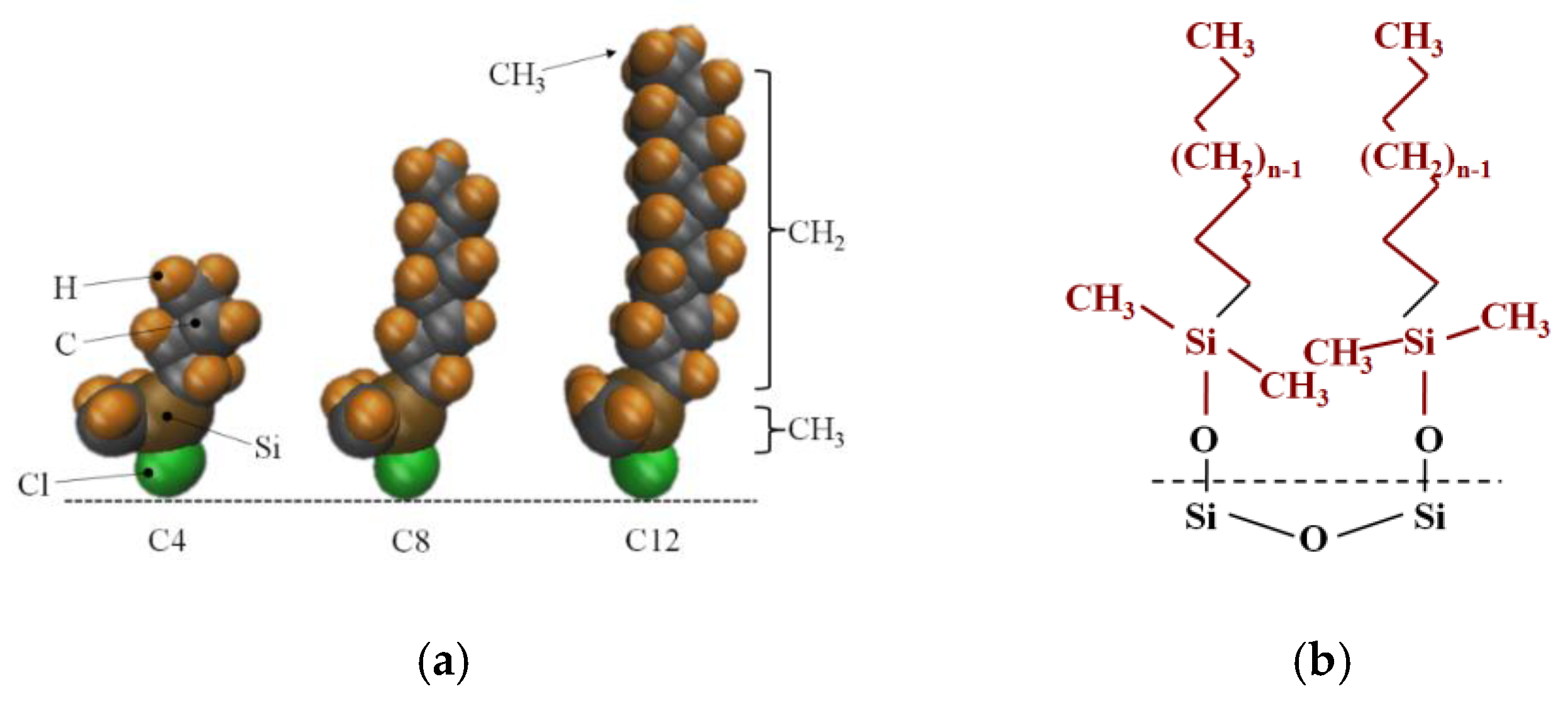 Molecules 26 04030 g001