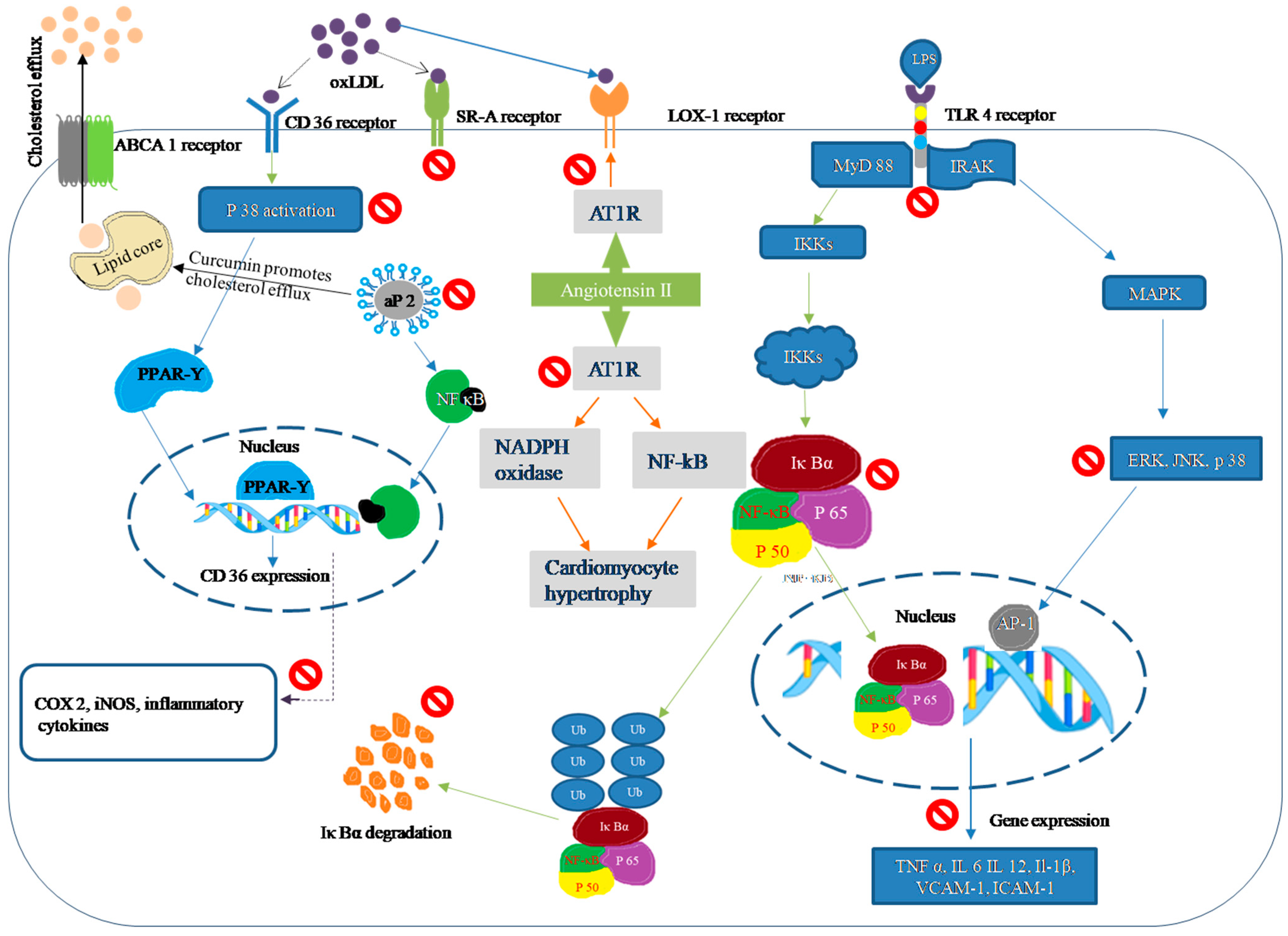 Molecules 26 04036 g001