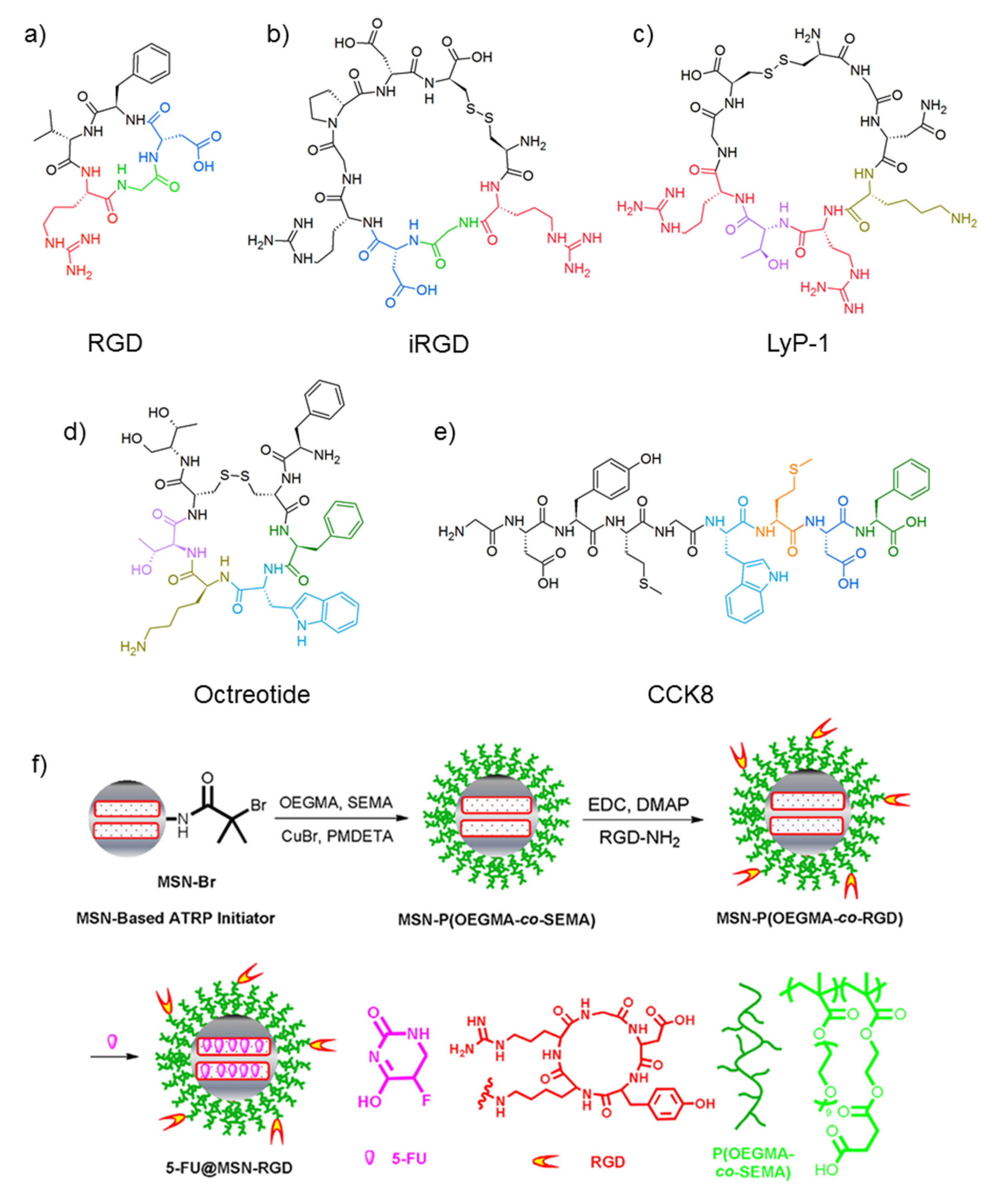 Molecules 26 04049 g002
