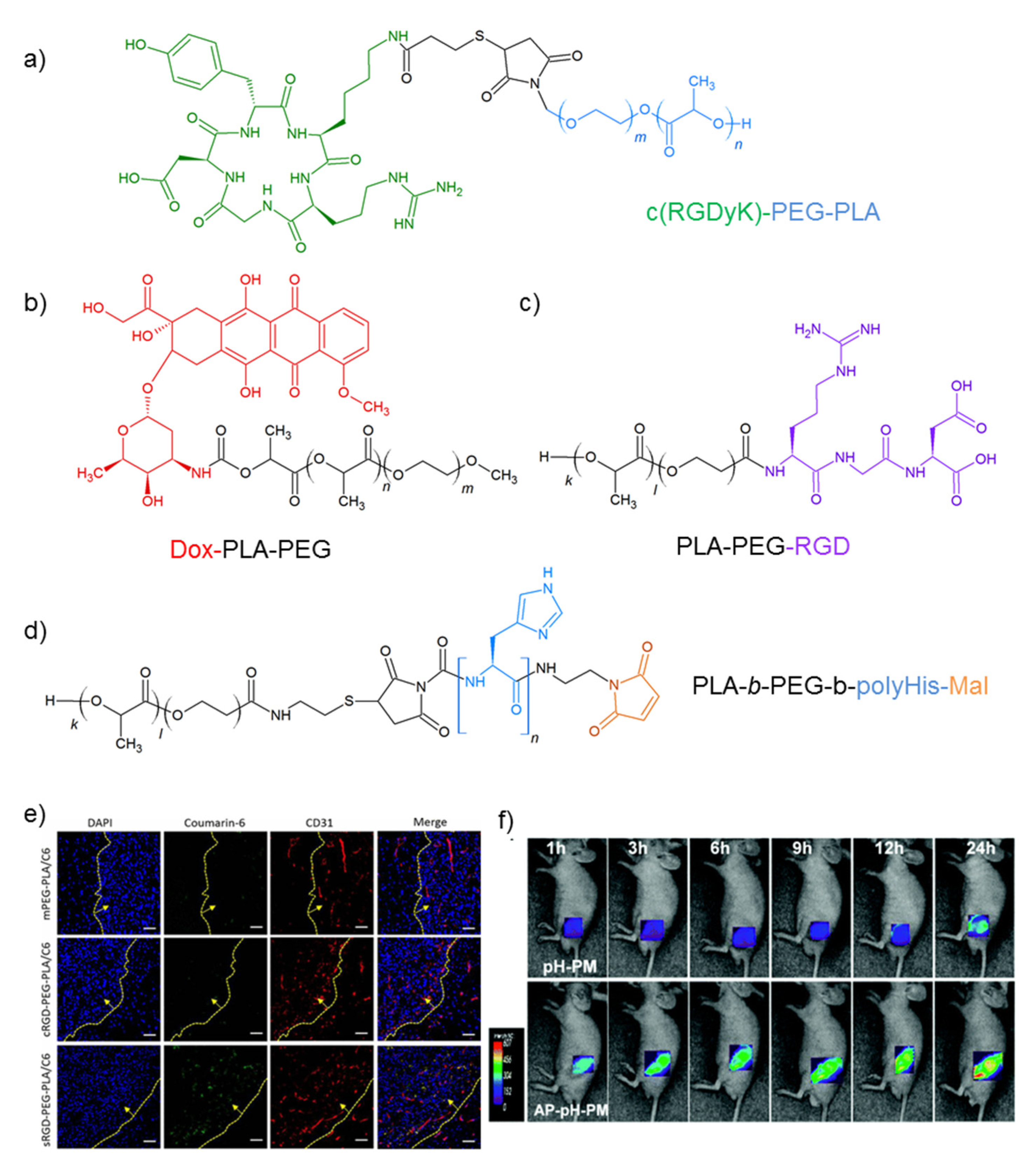 Molecules 26 04049 g004