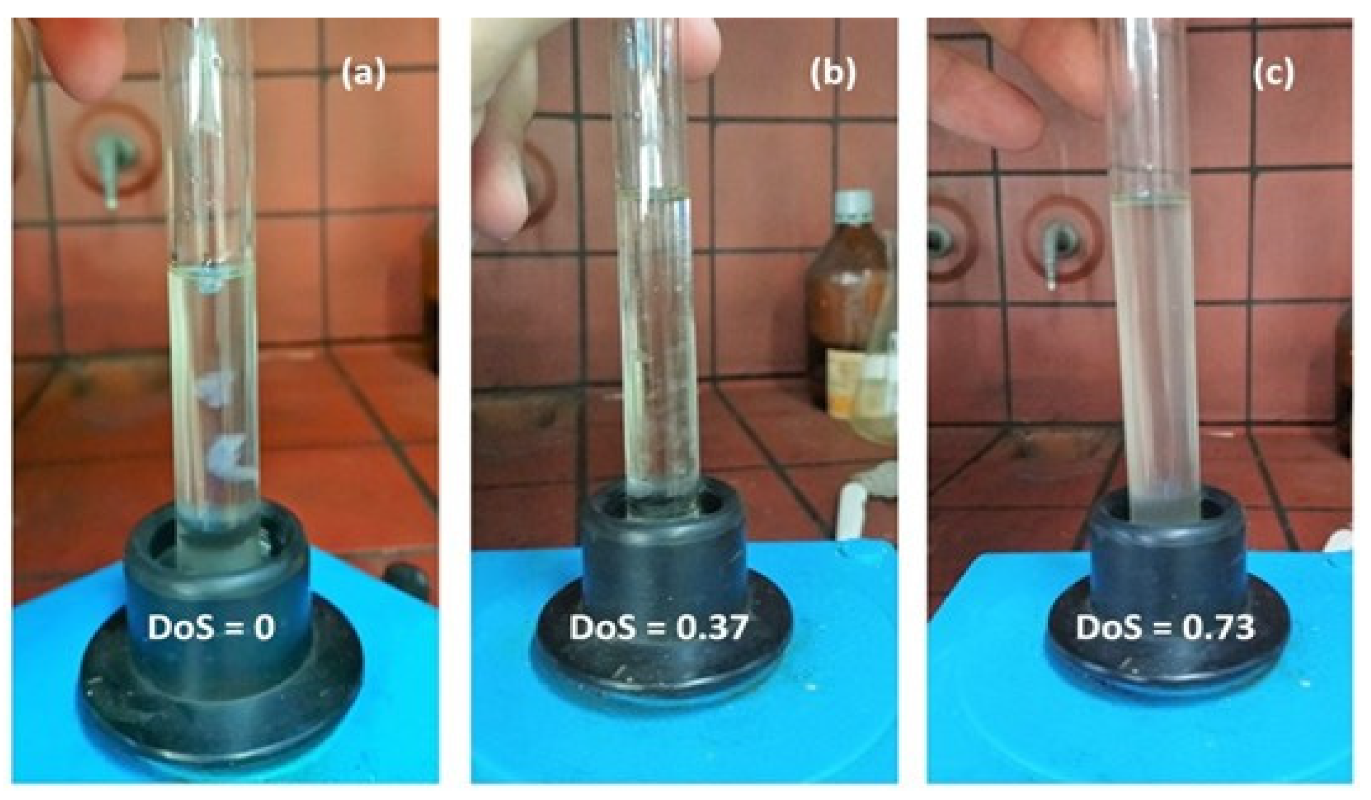 Molecules 26 04058 g008