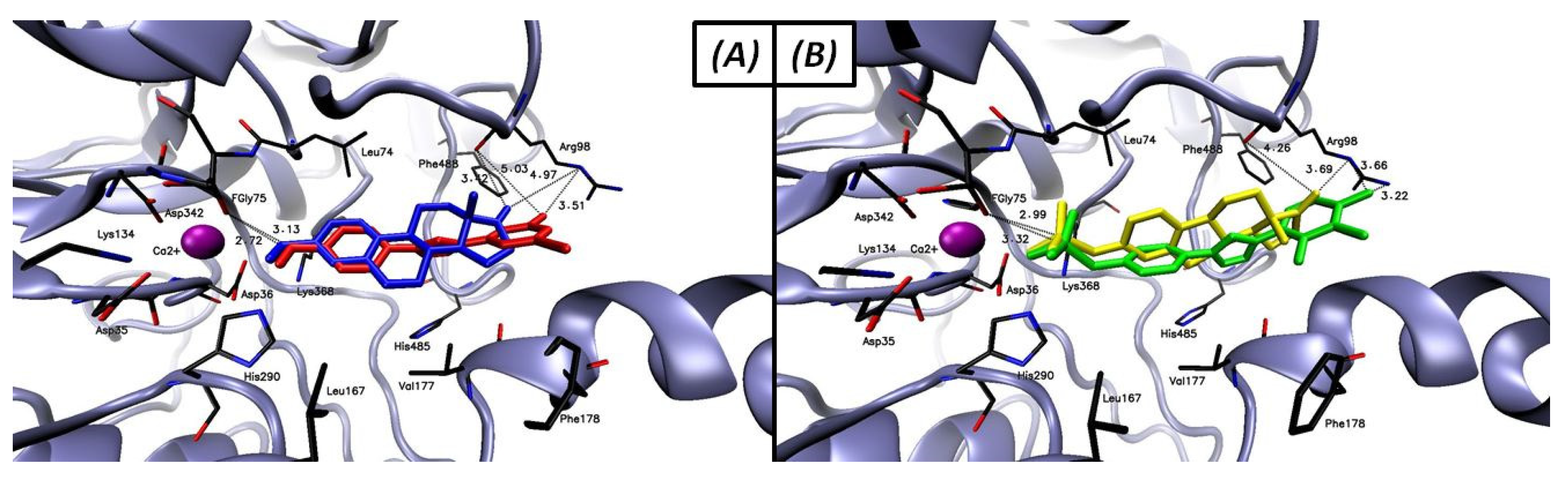 Molecules 26 04059 g006