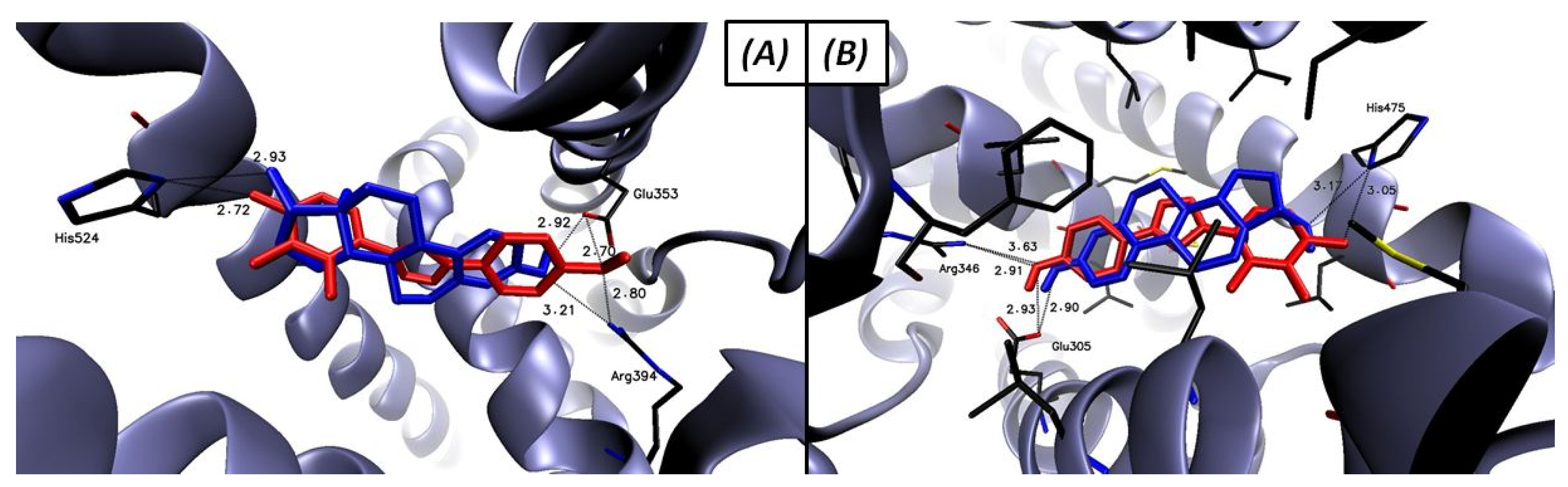 Molecules 26 04059 g008