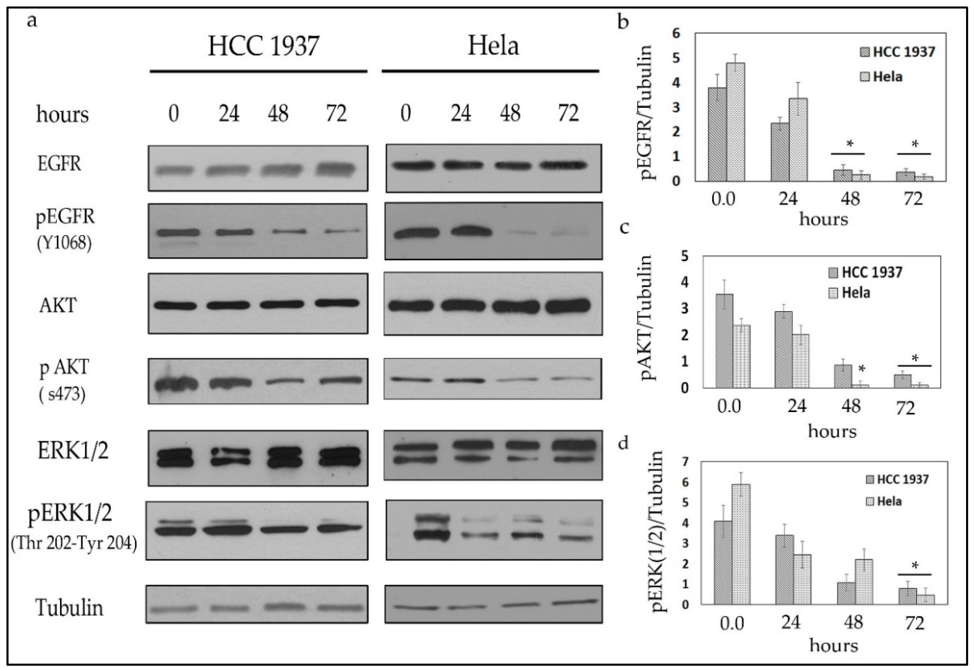 Molecules 26 04065 g002