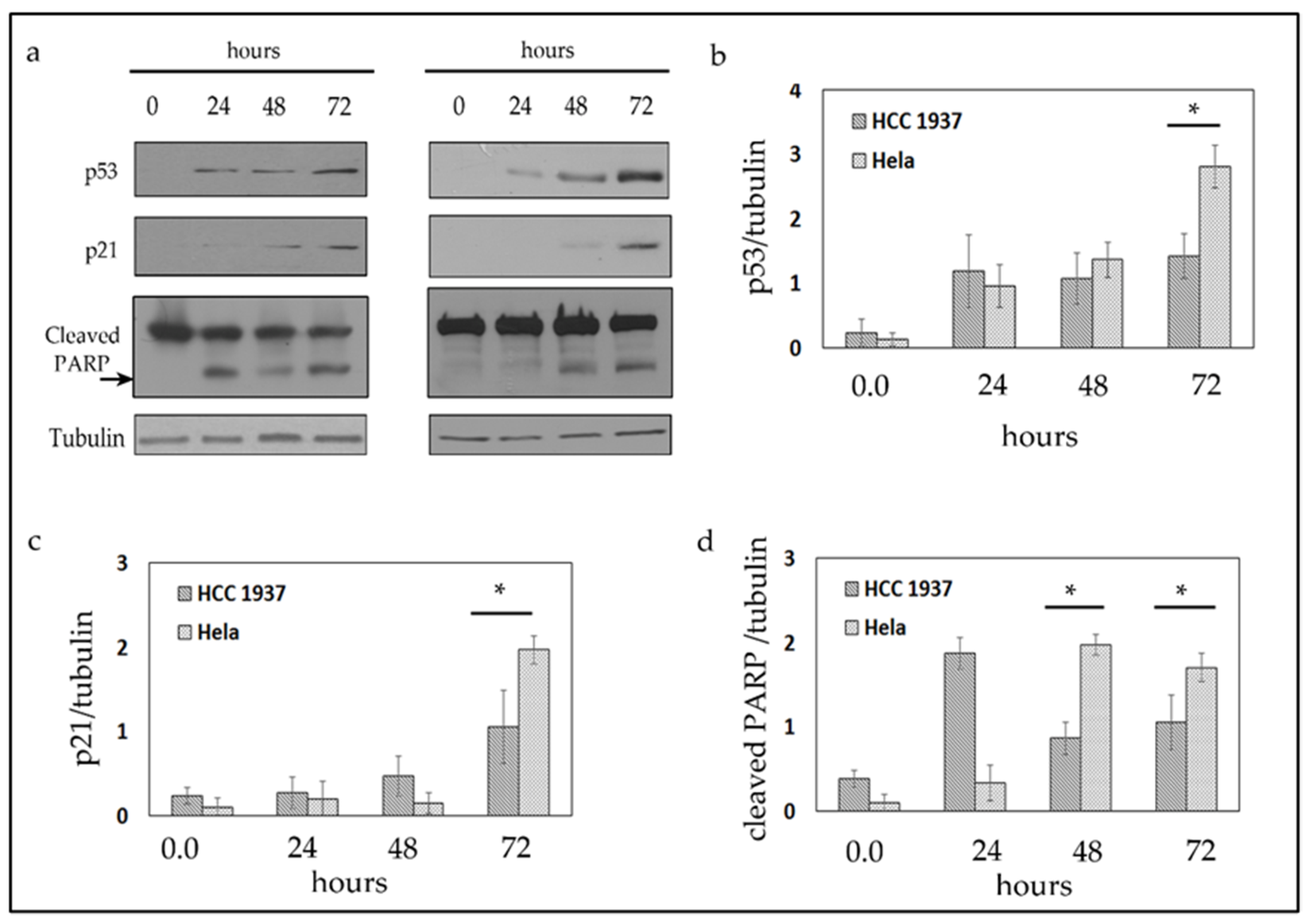 Molecules 26 04065 g003