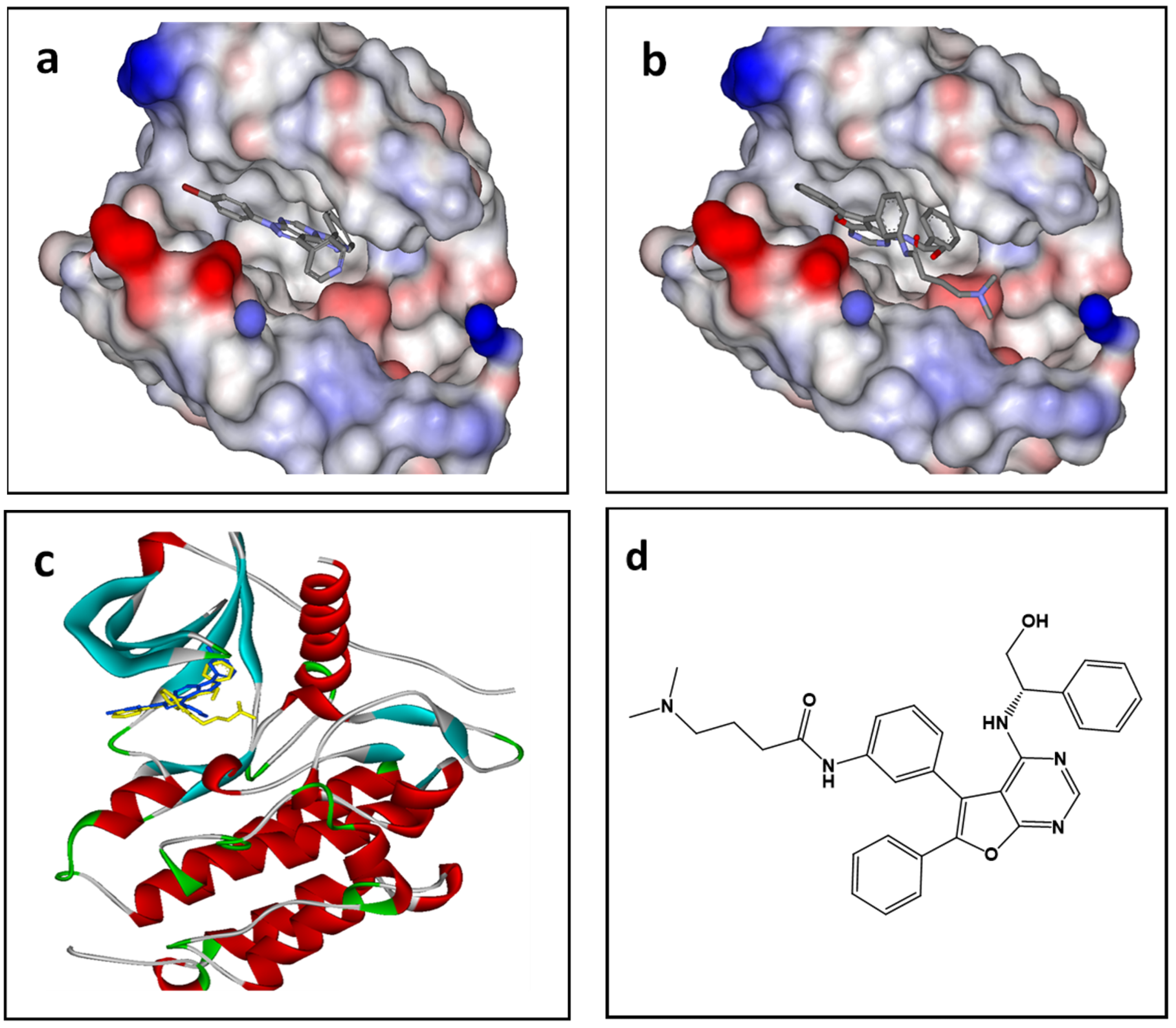 Molecules 26 04065 g004