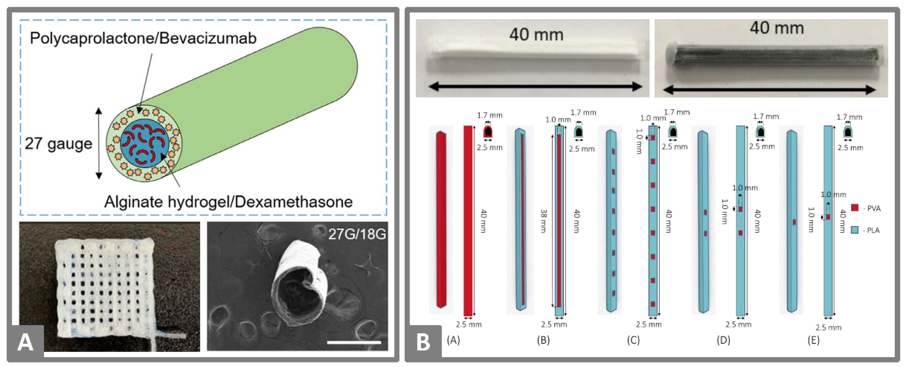 Molecules 26 04066 g007