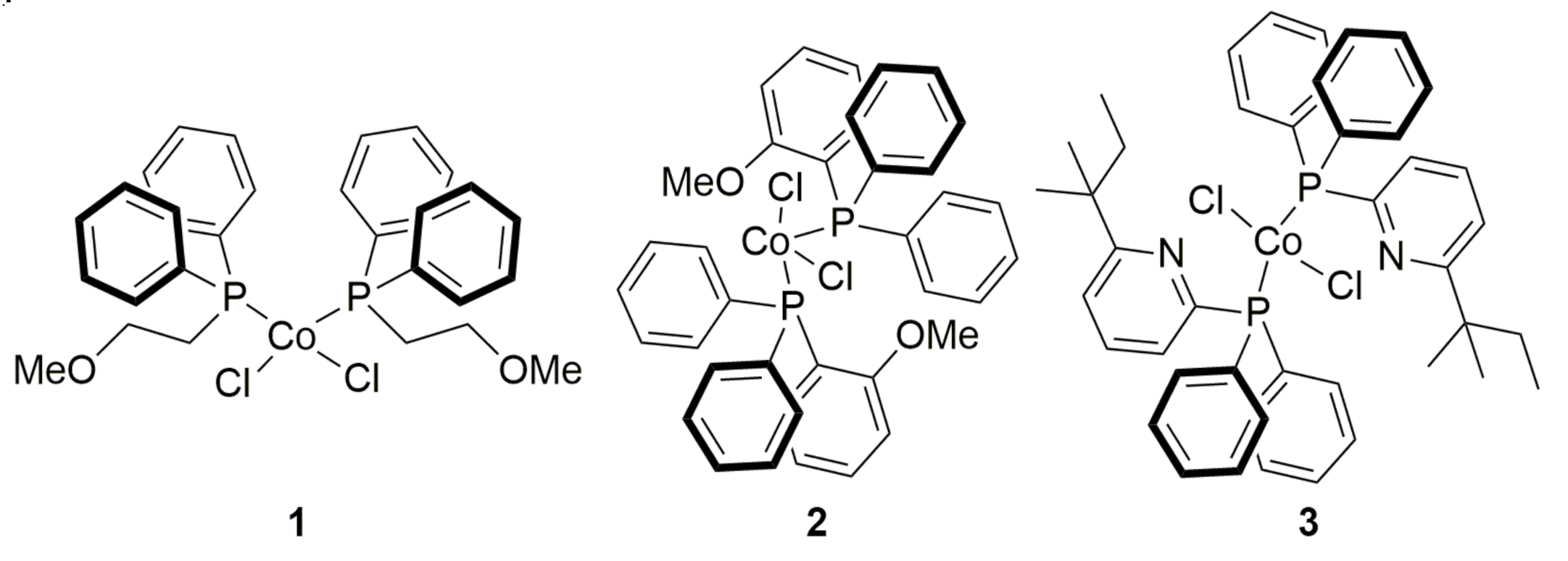 Molecules 26 04067 g001