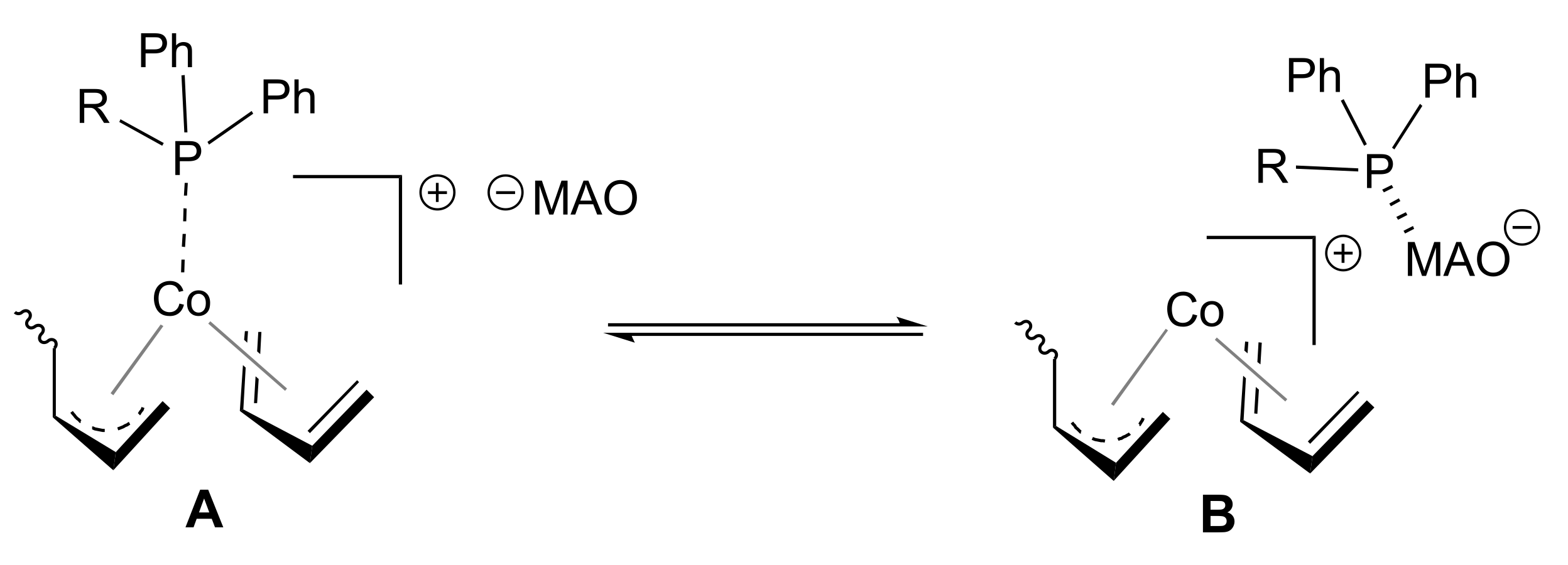 Molecules 26 04067 g004