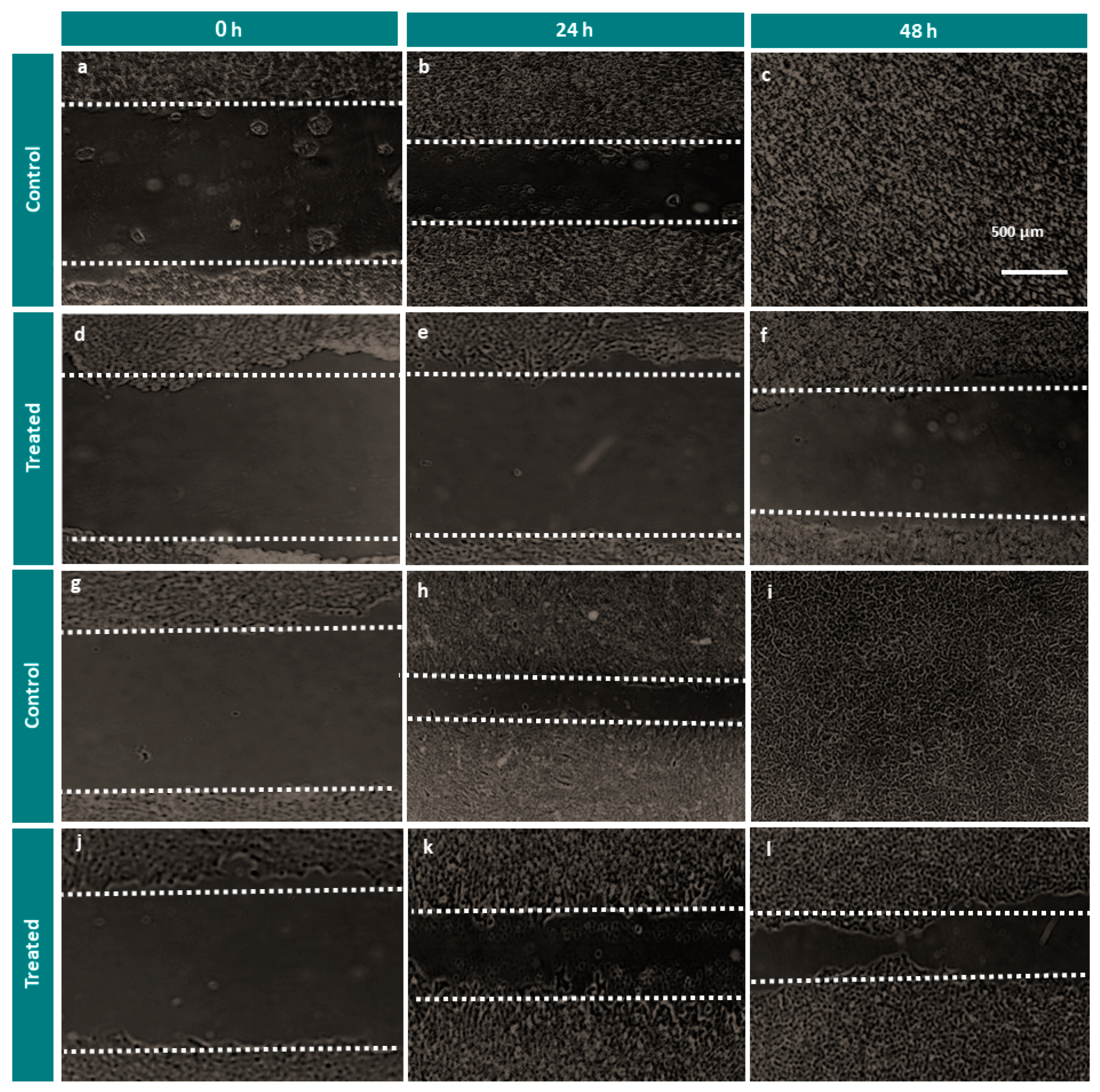 Molecules 26 04069 g005