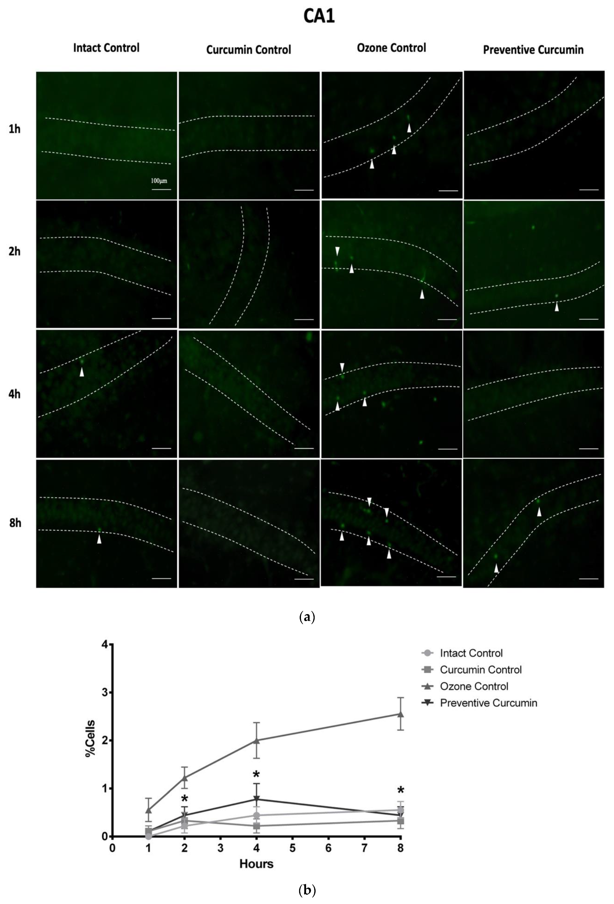 Molecules 26 04075 g003