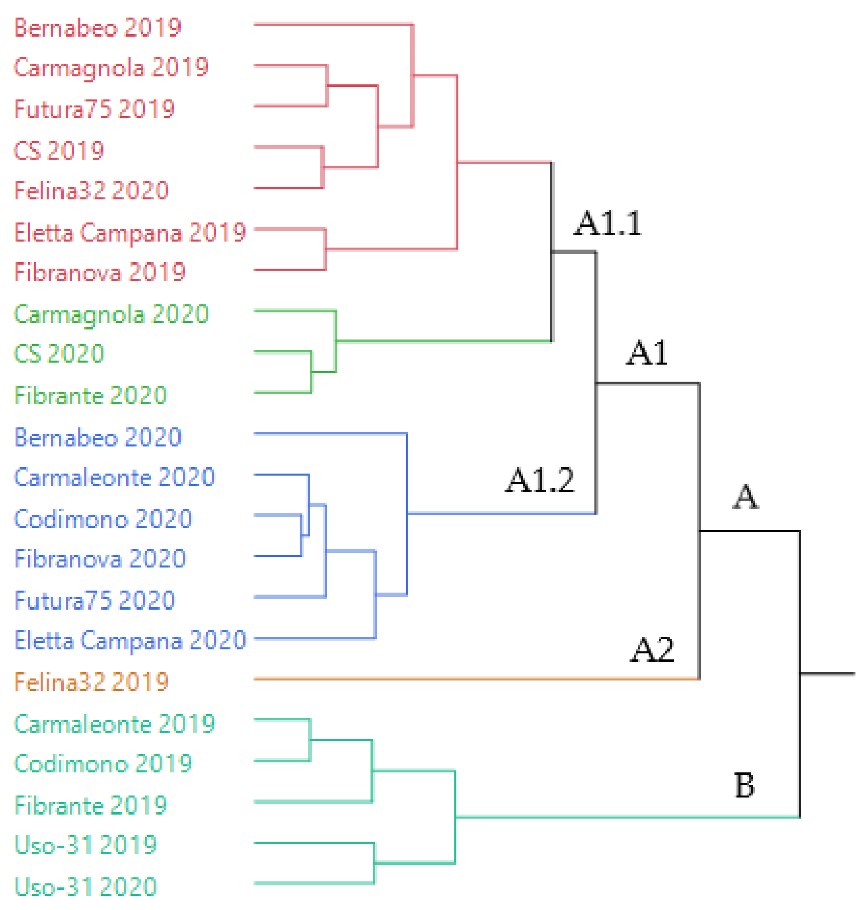 Molecules 26 04080 g001